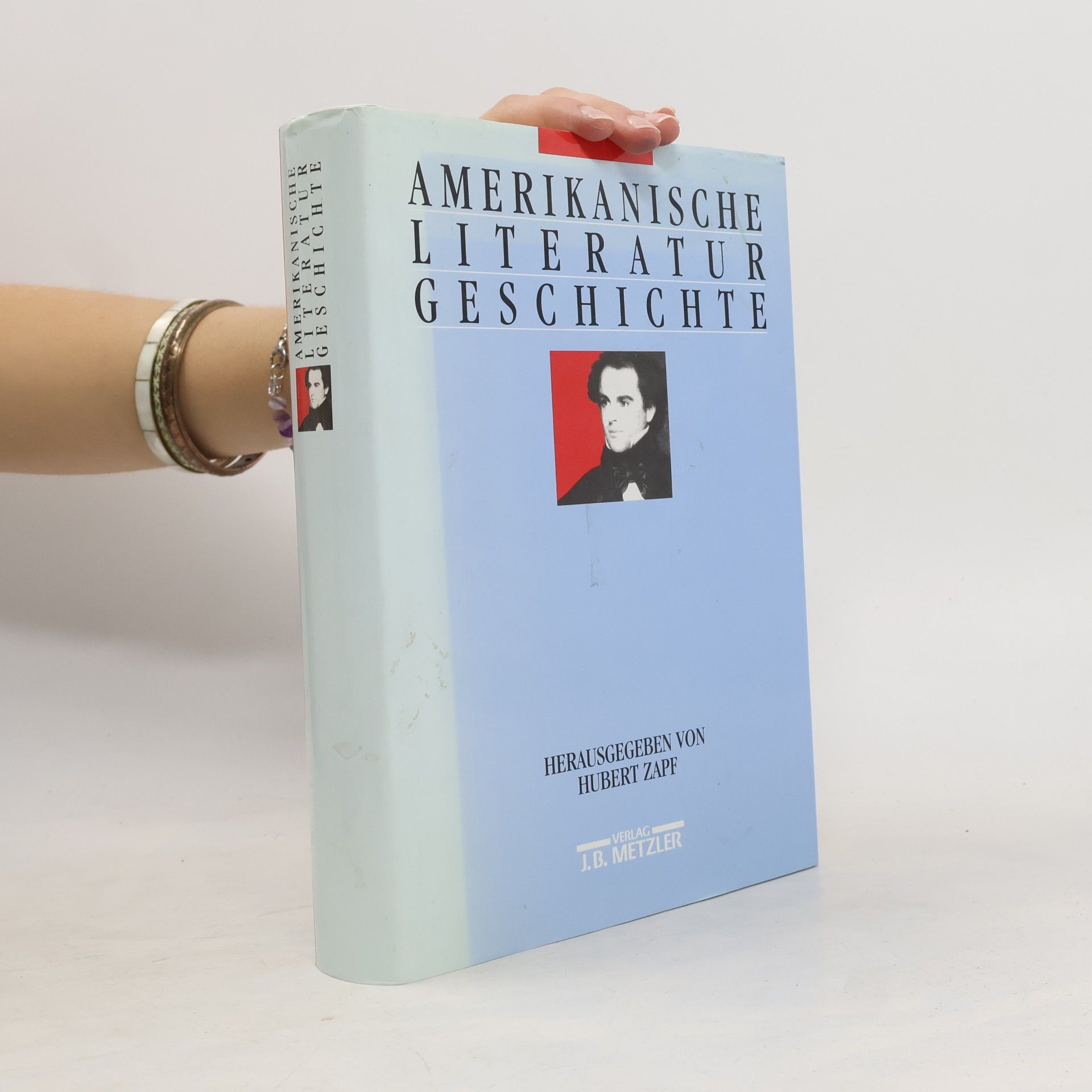 Helmbrecht Breinig Amerikanische Literaturgeschichte