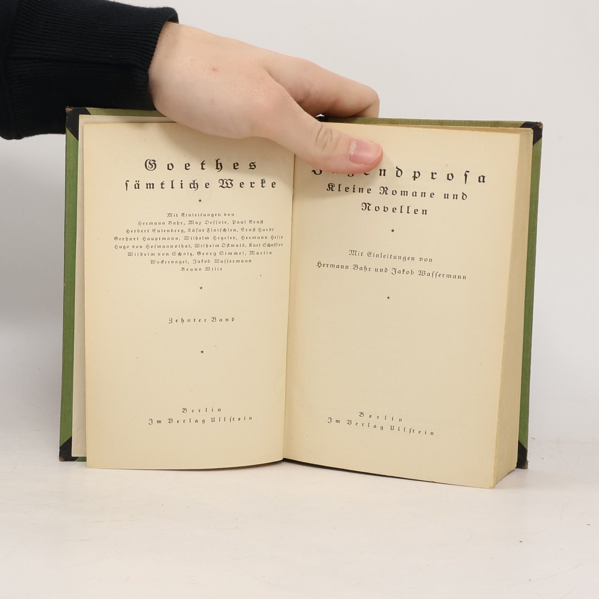 Hermann Bahr Jugendprosa. Kleine Romane und Novellen
