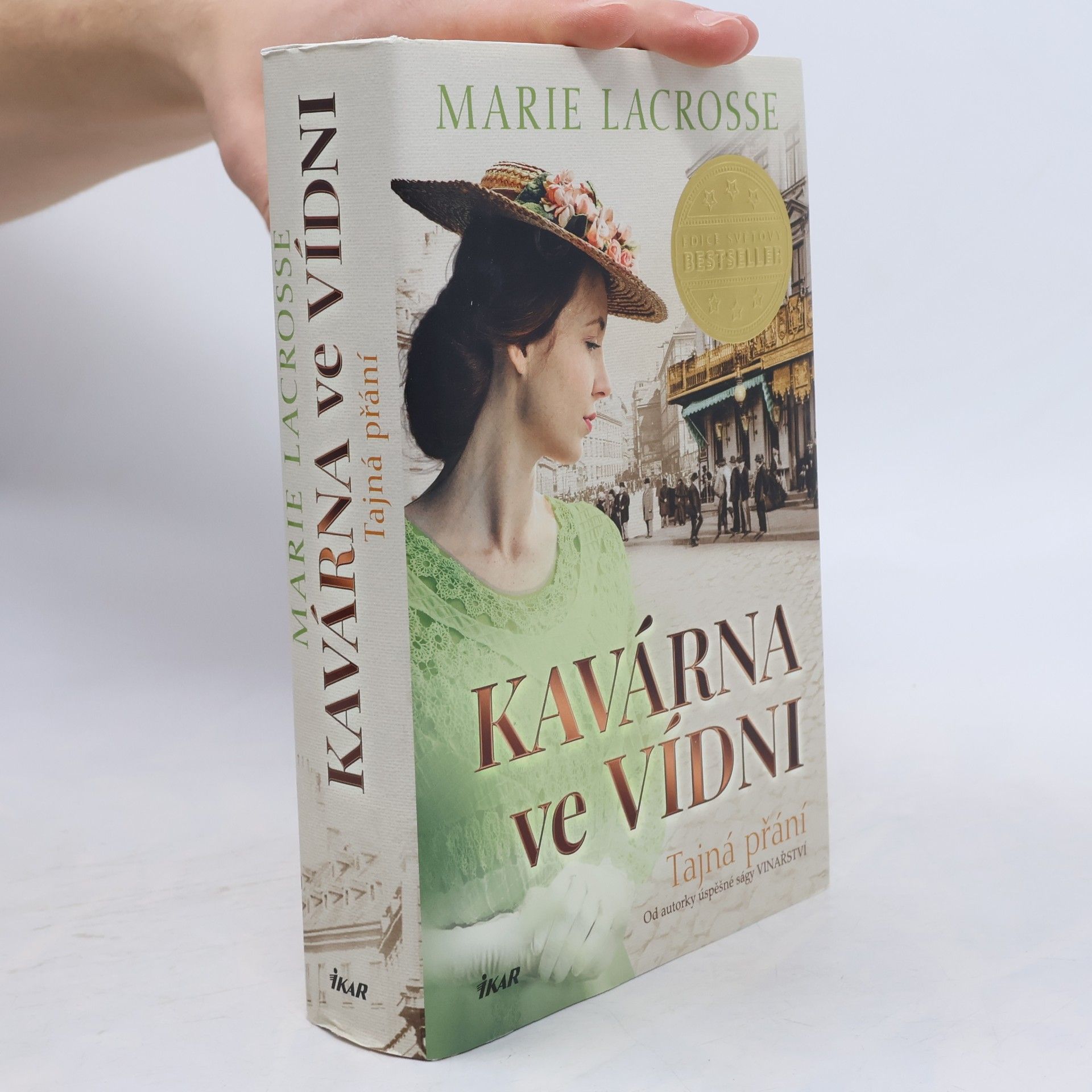 Rudolf Řežábek Kavárna ve Vídni. Tajná přání