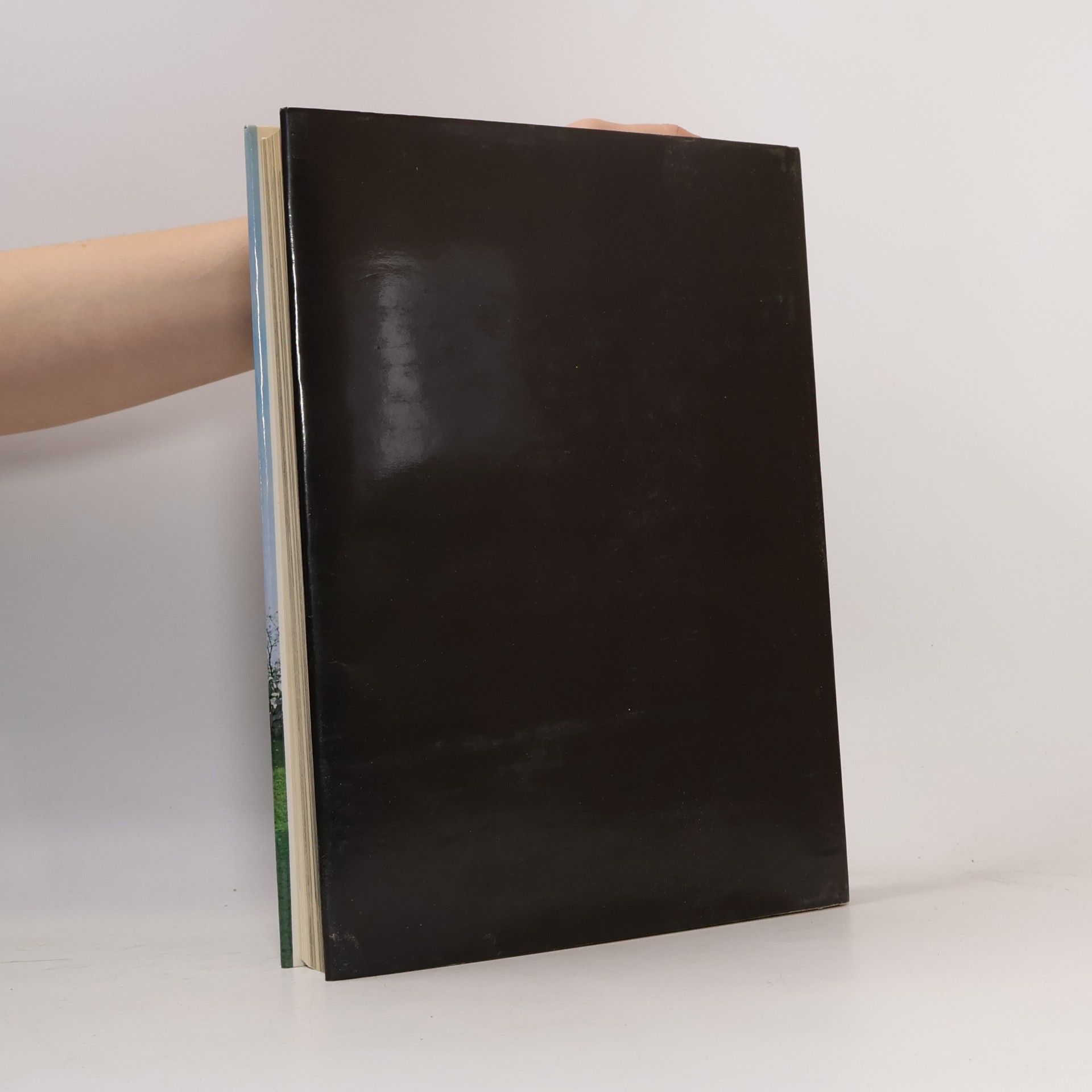 Autores varios Romantische Kunst