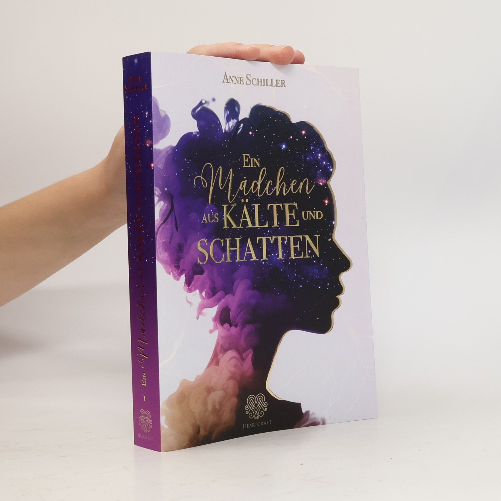Anne Schiler Ein Mädchen aus Kälte und Schatten