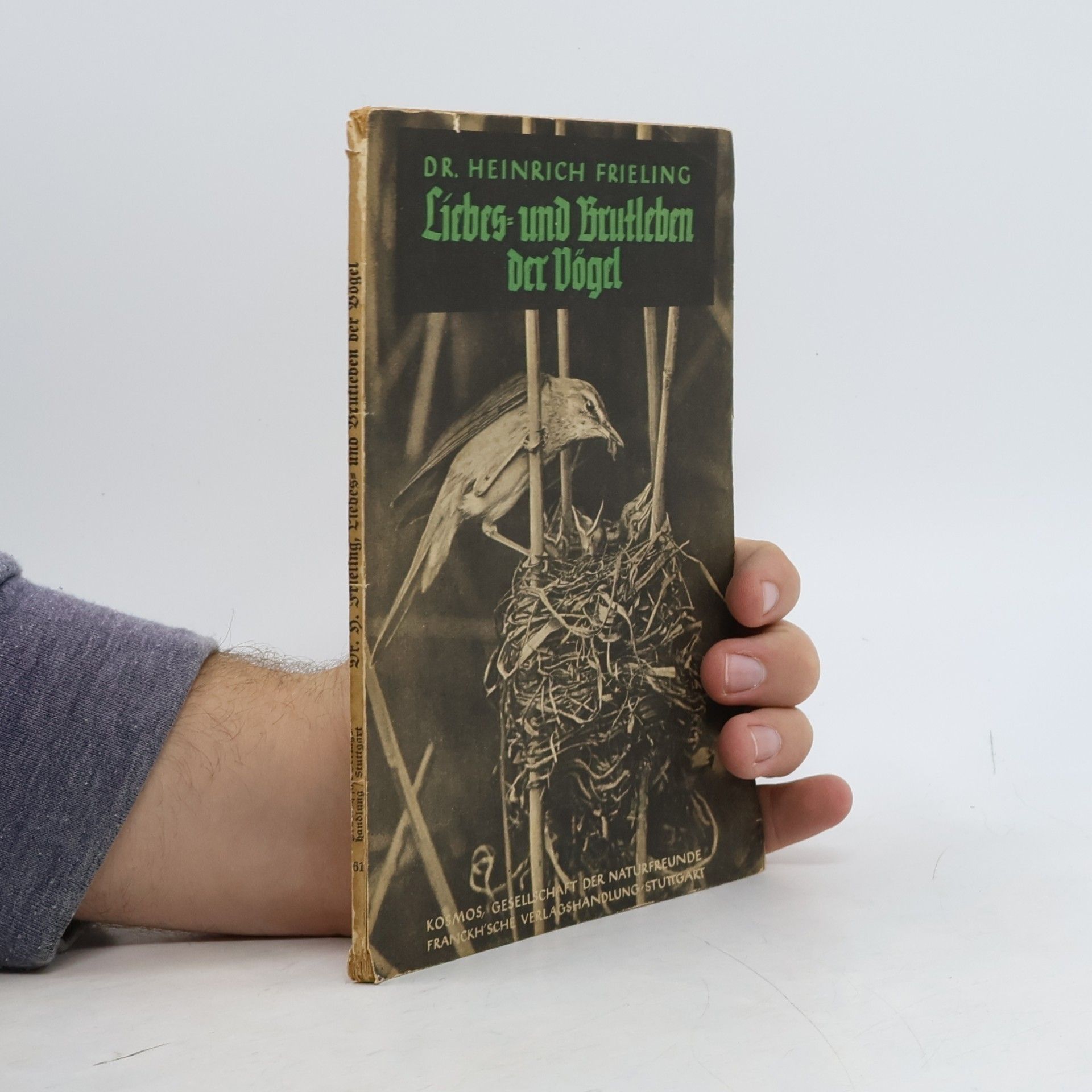 Liebes und Brutleben der Vögel