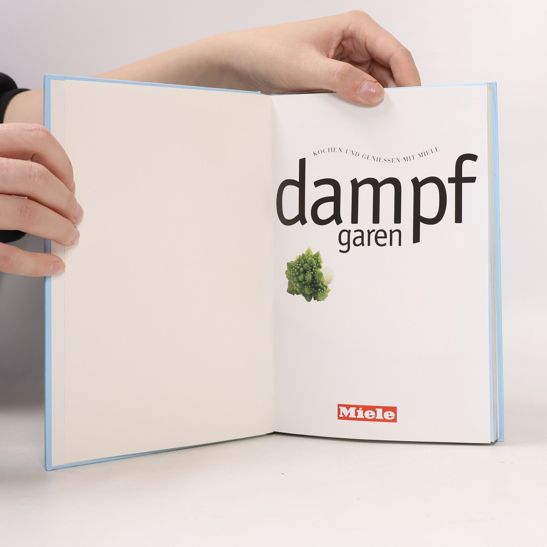 Autorenkollektiv Dampfgaren