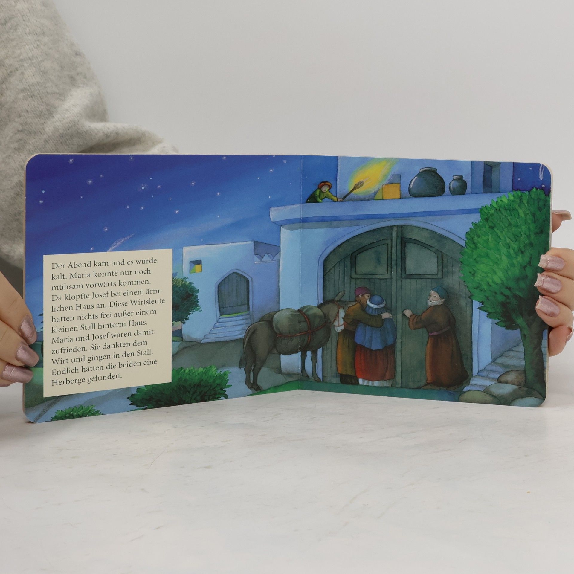 Renate Seelig Die Weihnachtsgeschichte