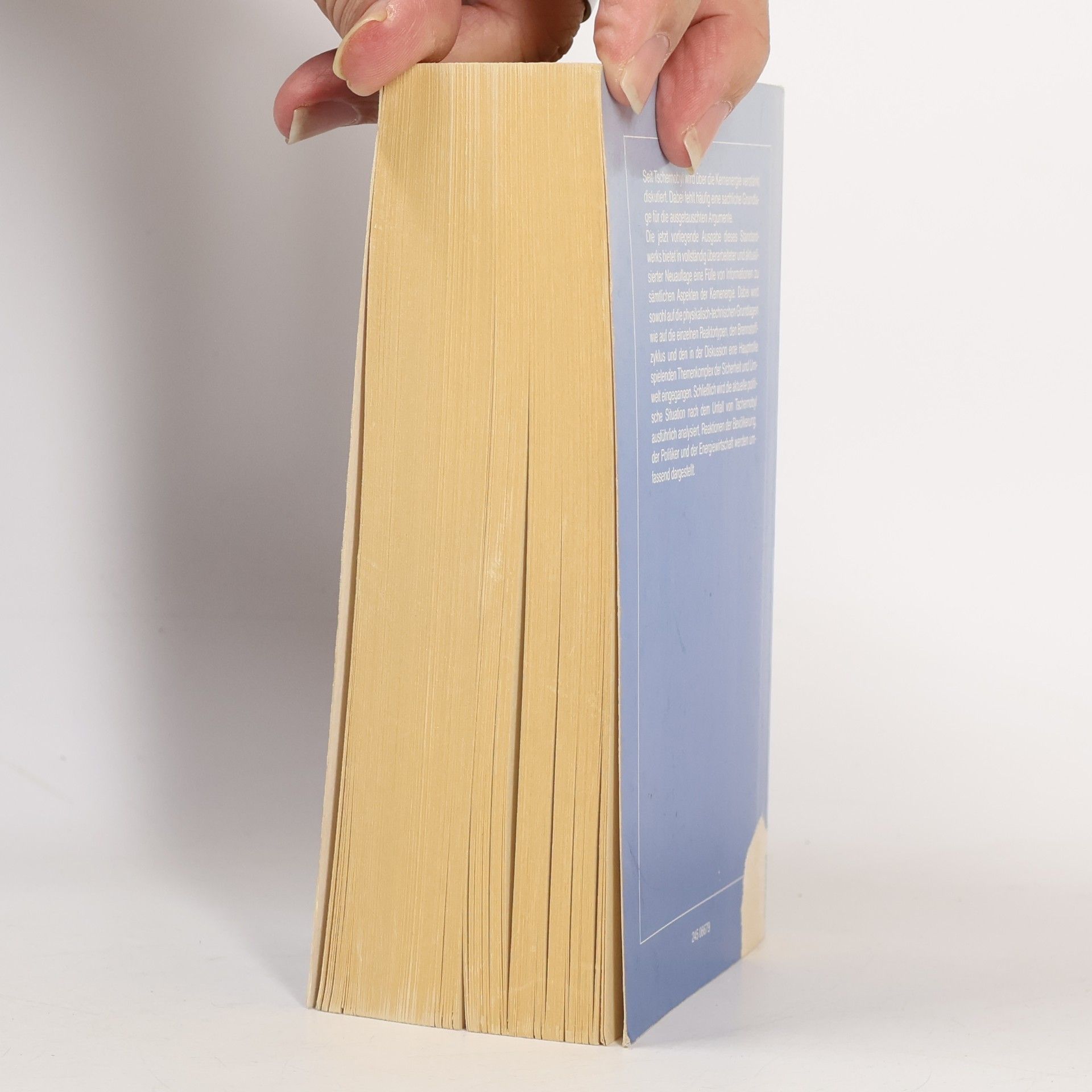 Hans Michaelis Handbuch der Kernenergie