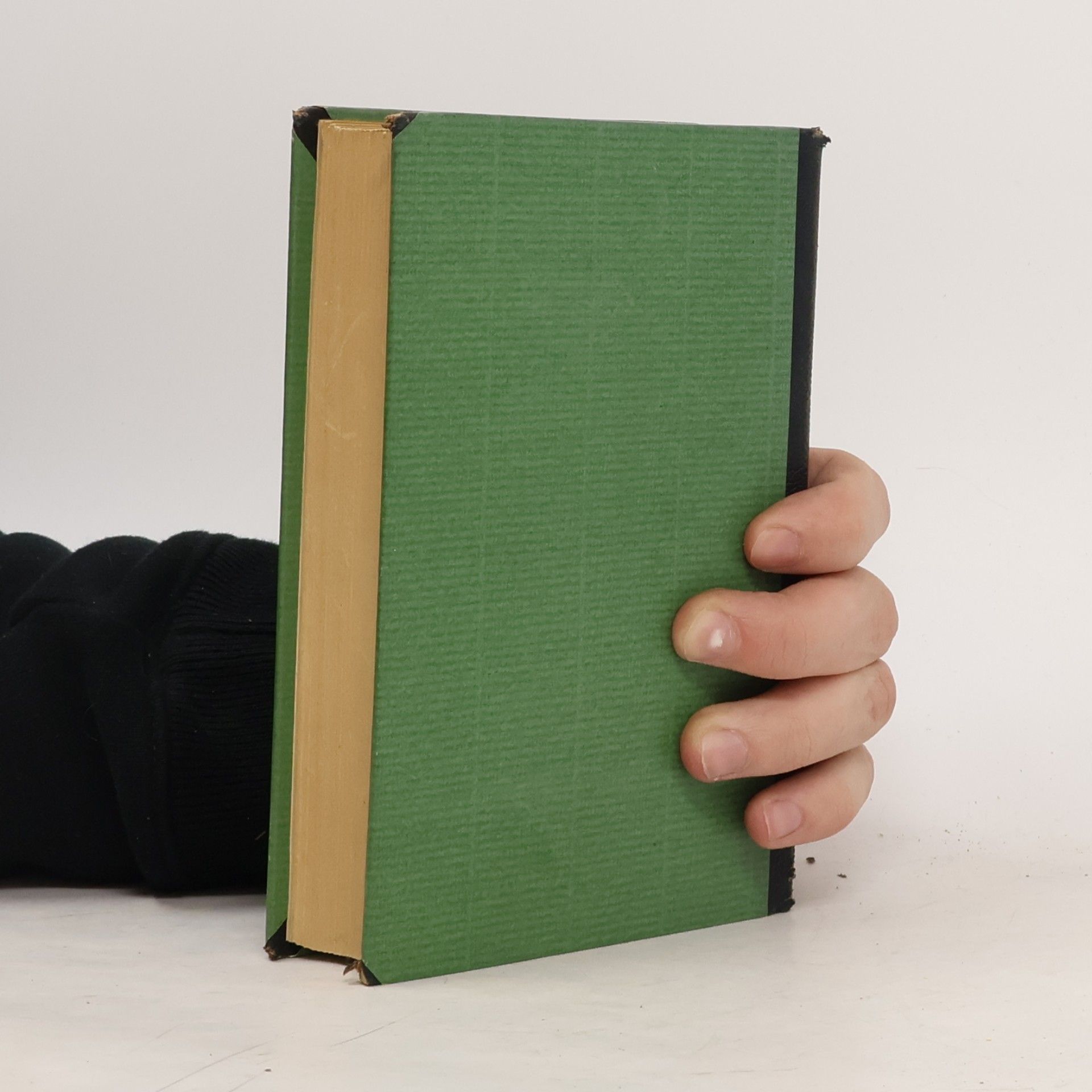 Martin Wackernagel Schriften zur Kunst 18. Geothes Sämtliche Werke