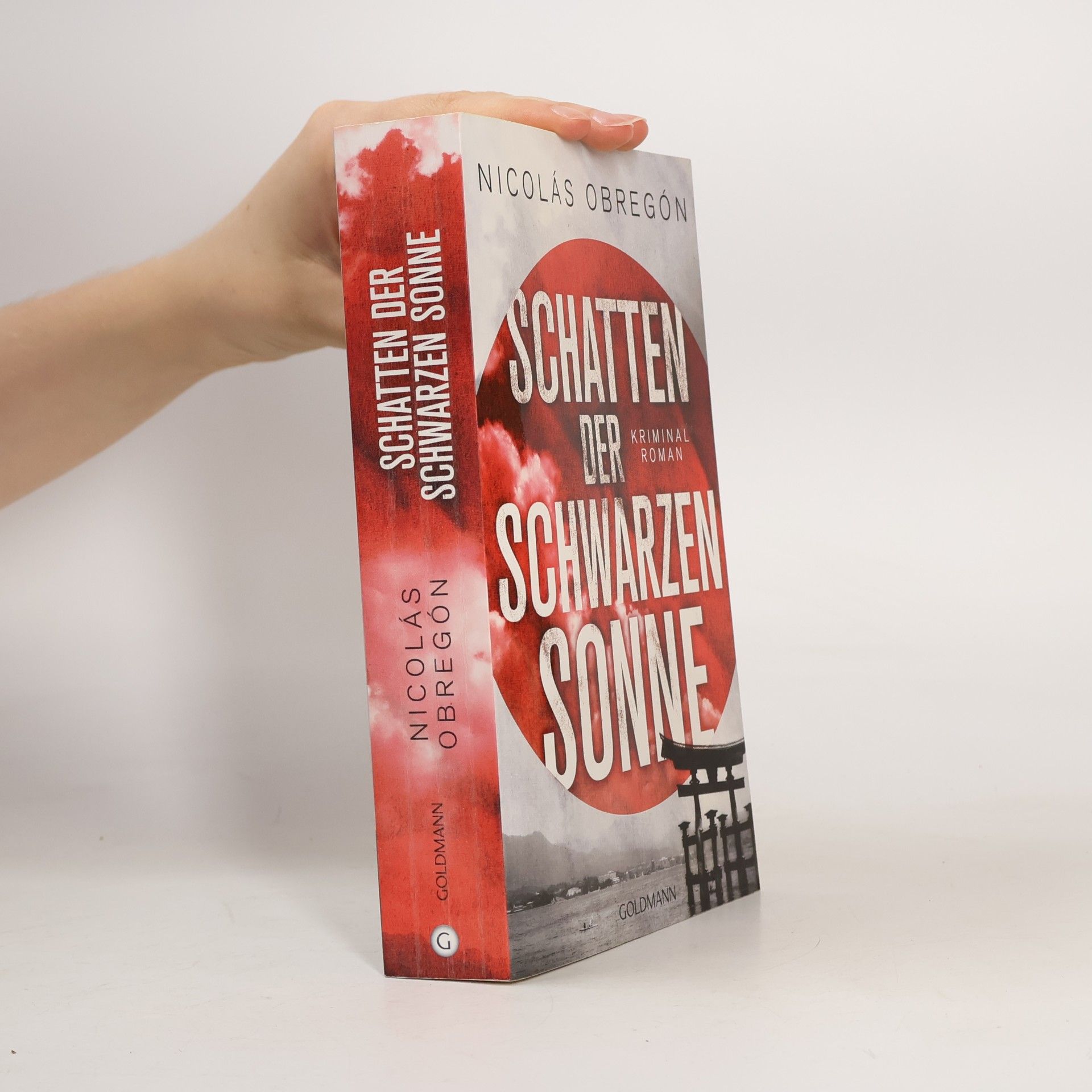 Schatten der schwarzen Sonne