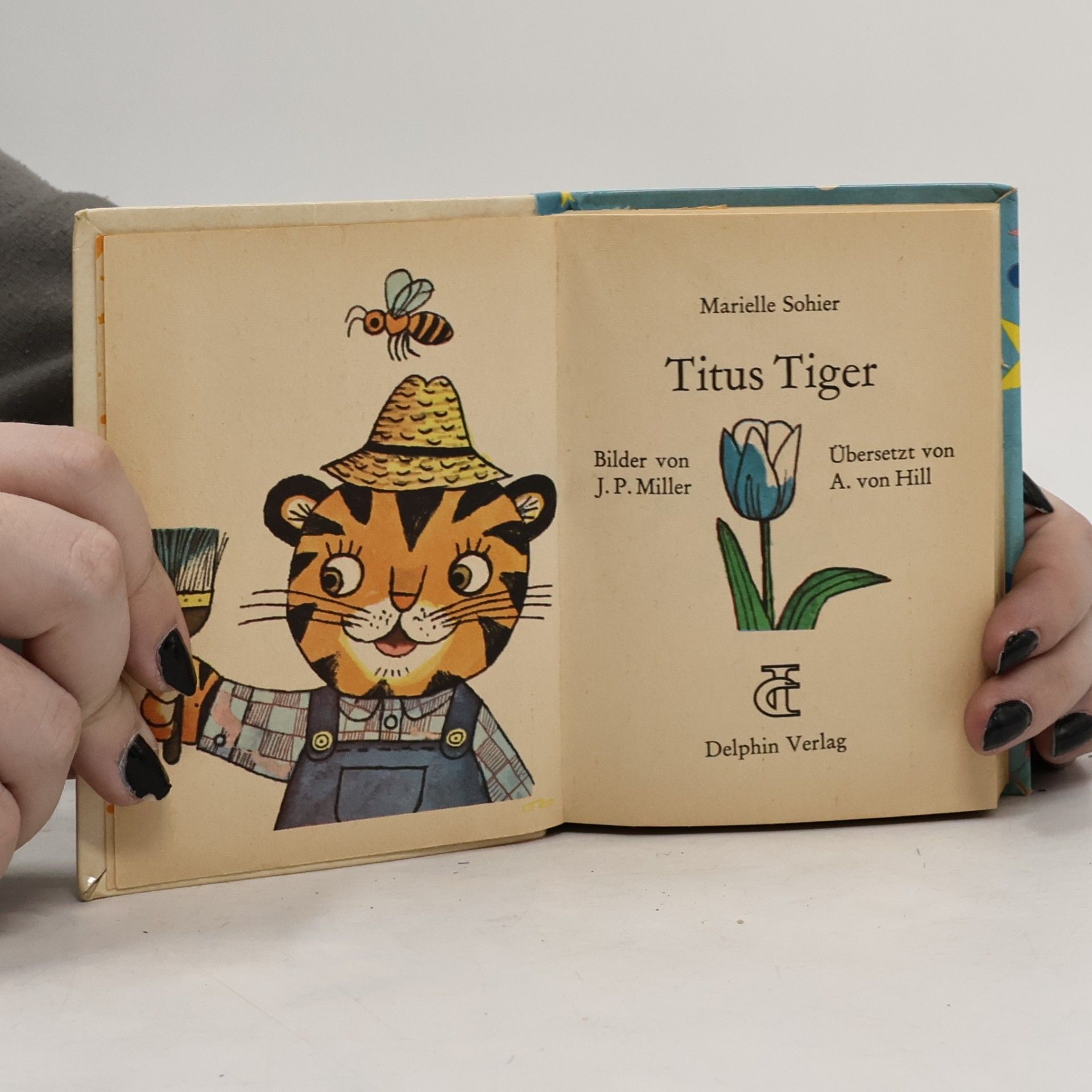 Marielle Sohier Titus Tiger