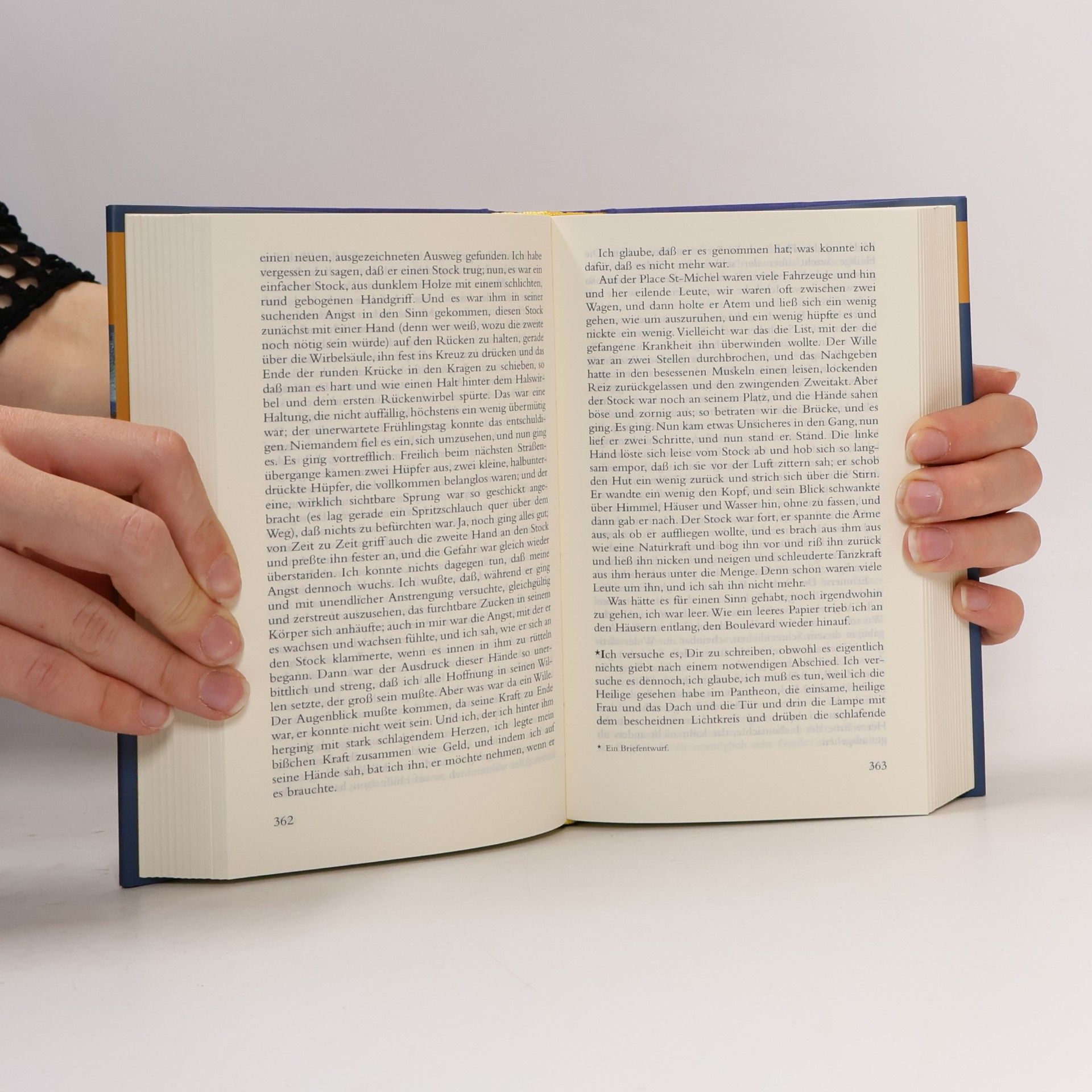 Rainer Maria Rilke Lyrik und Prosa