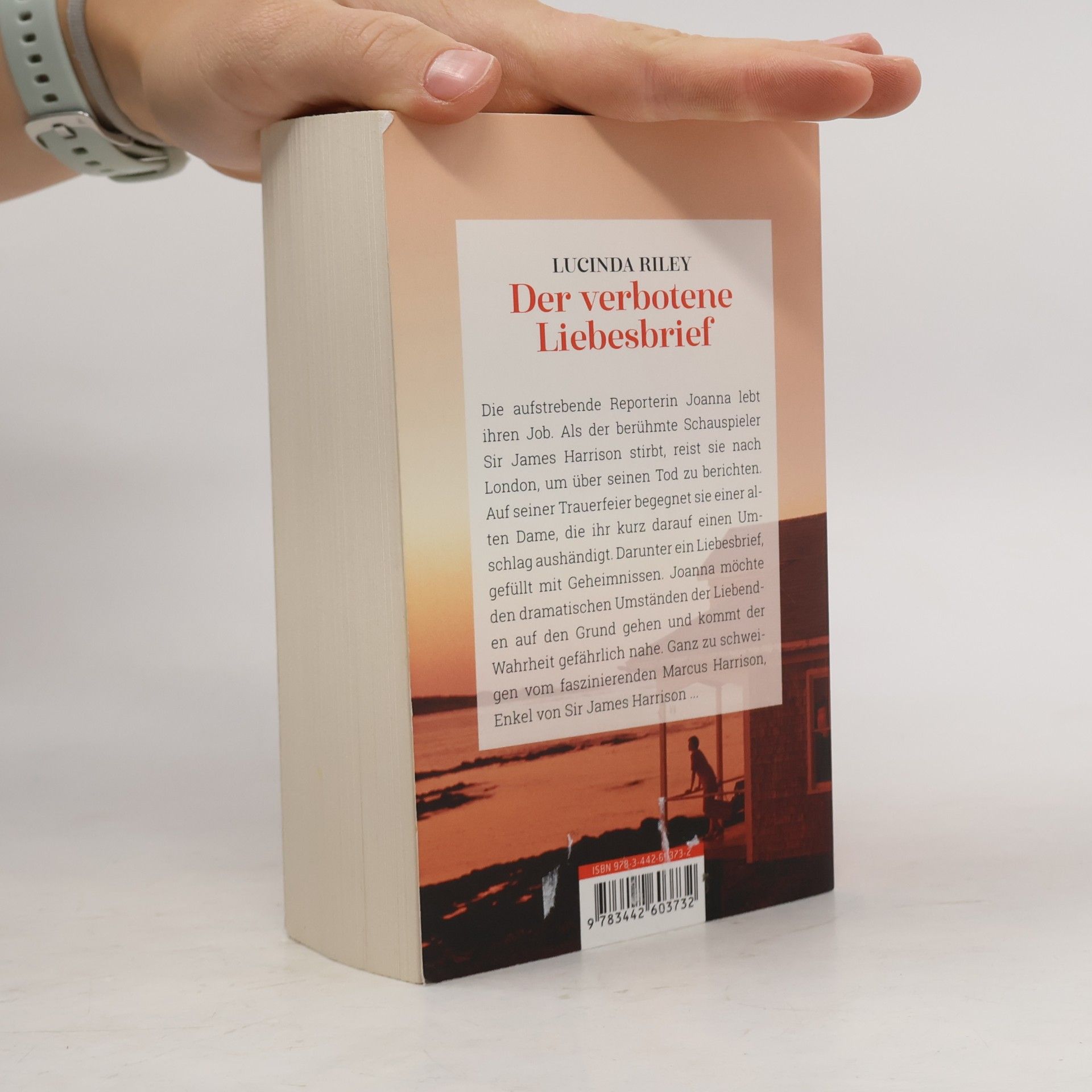 Lucinda Riley Der verbotene Liebesbrief