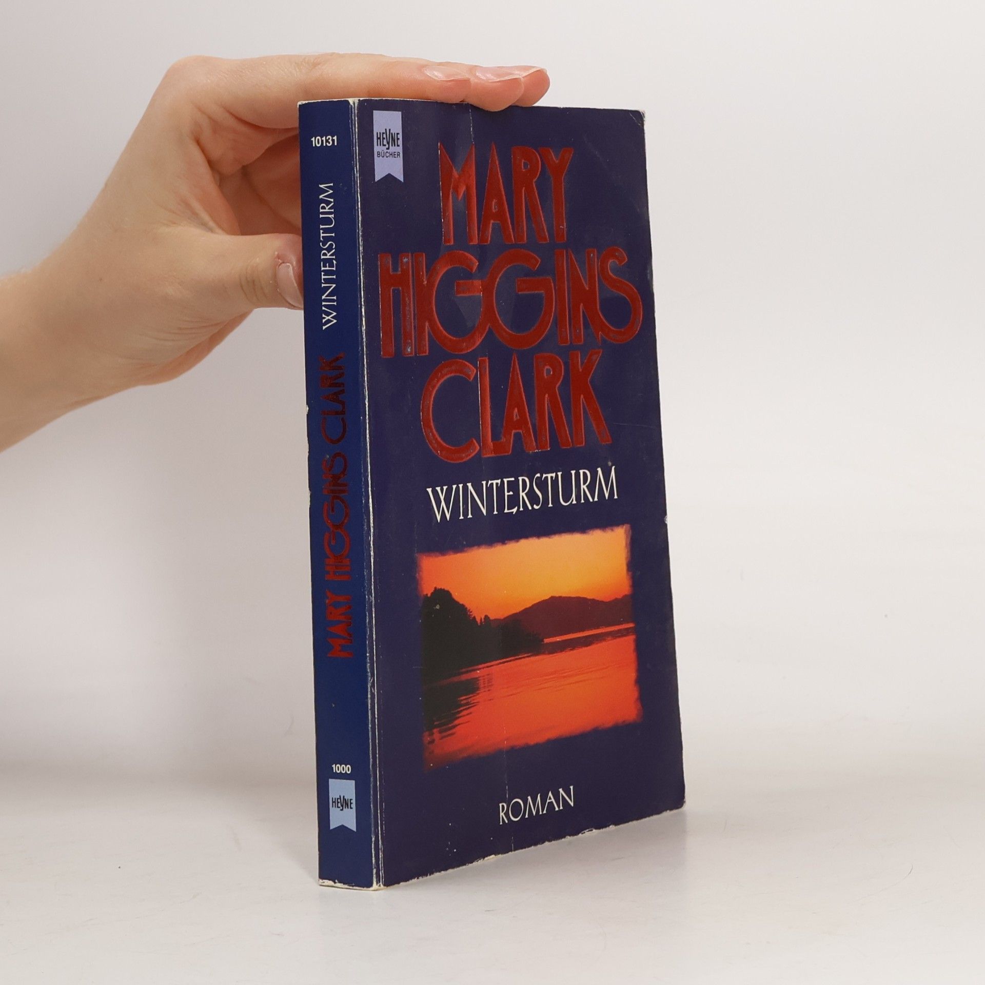 Mary Higgins Clark Wintersturm