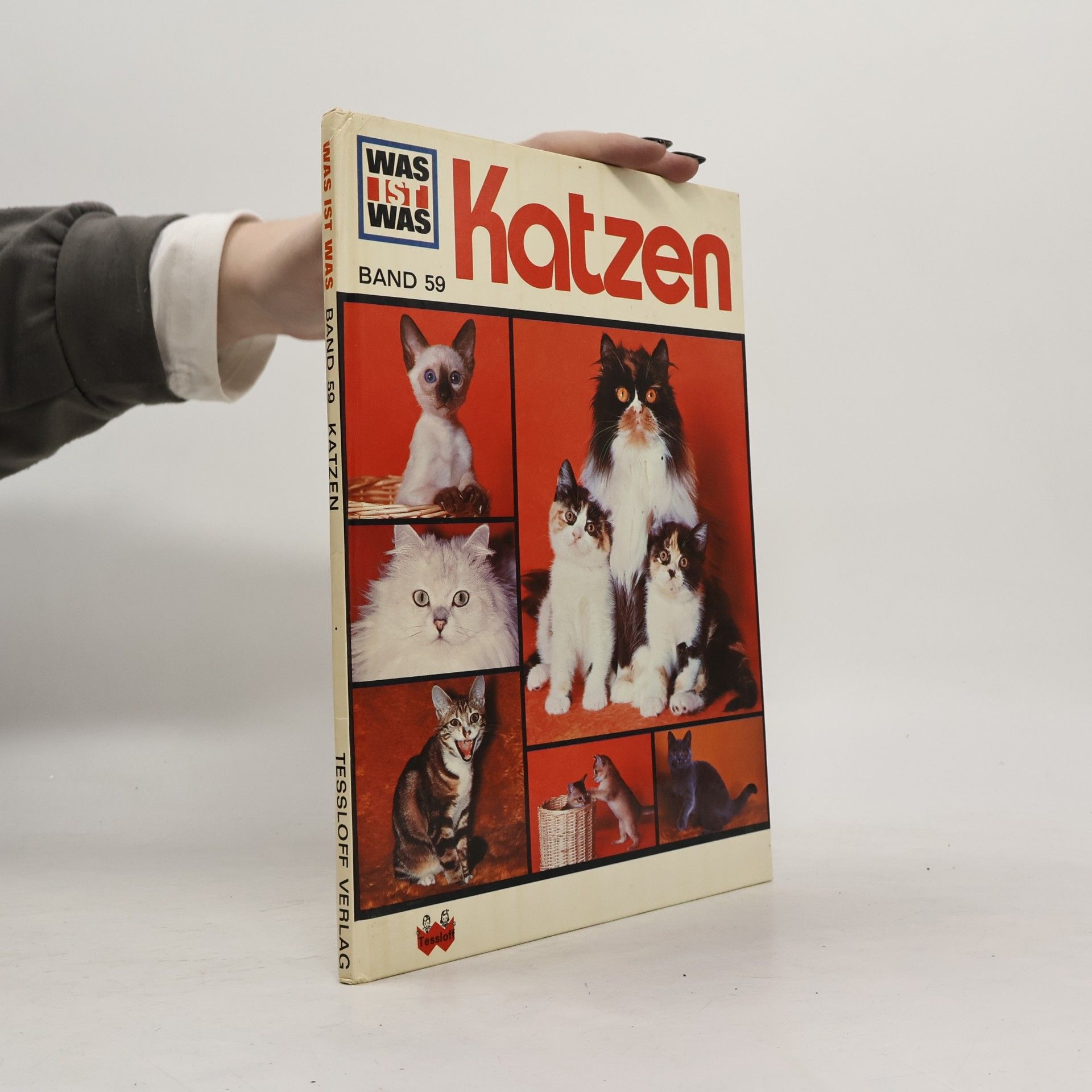 Katzen