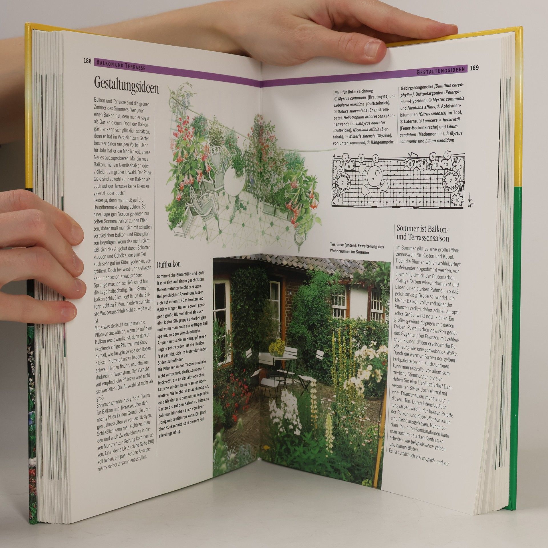 Jürgen Wolff Mein schöner Garten