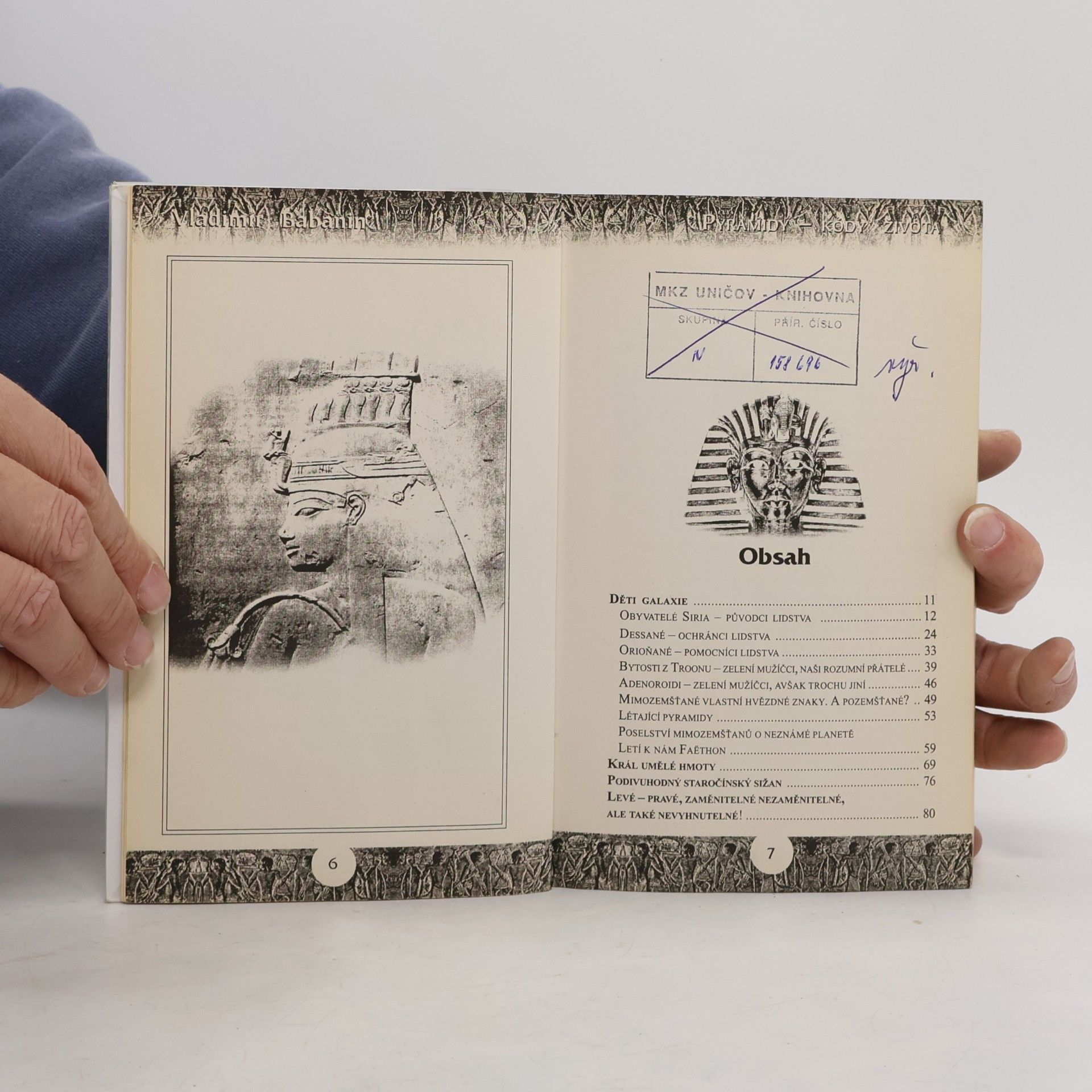 Vladimir Petrovič Babanin Pyramidy. Kódy života