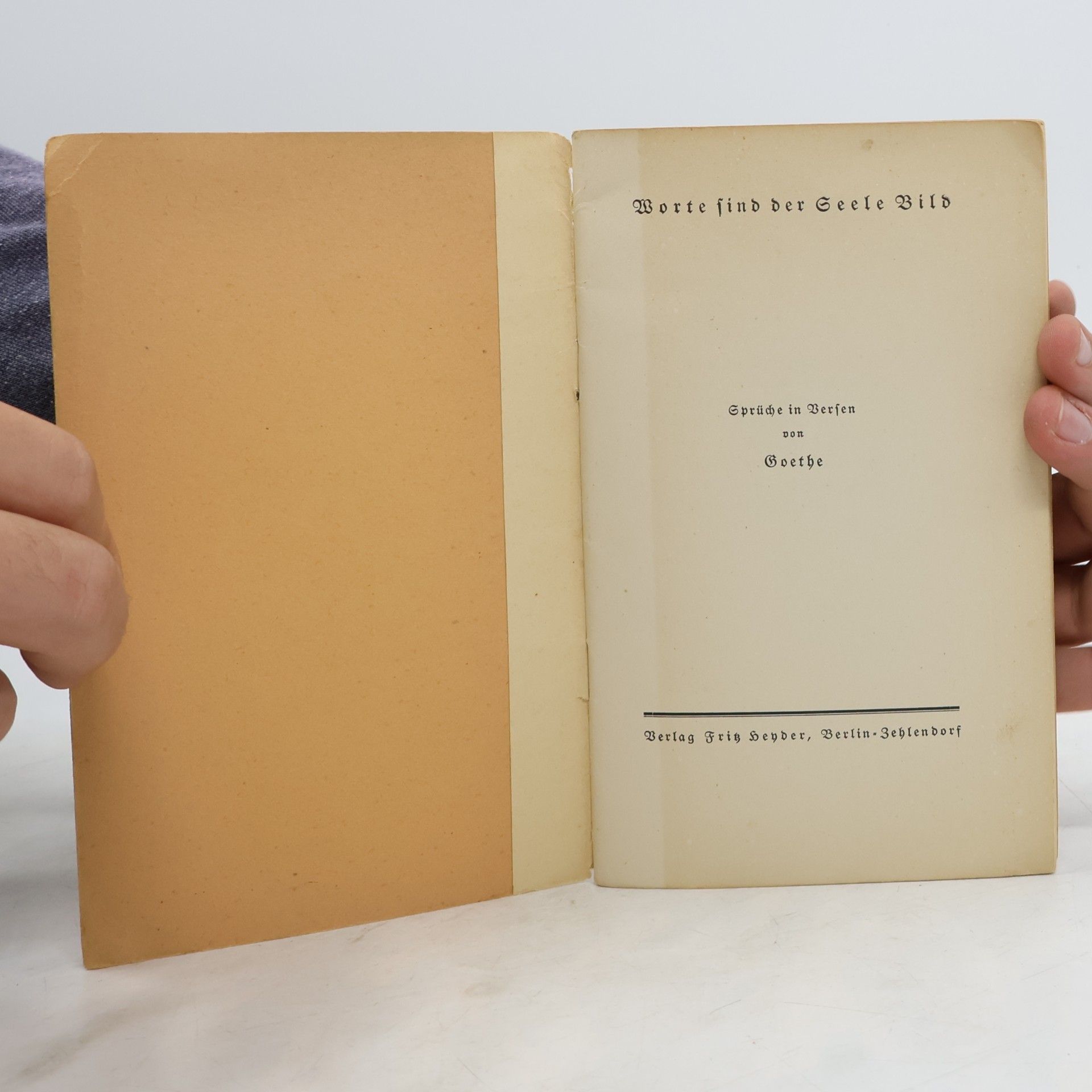 Goethe Worte sind der Seele Bild: Sprüche in Versen