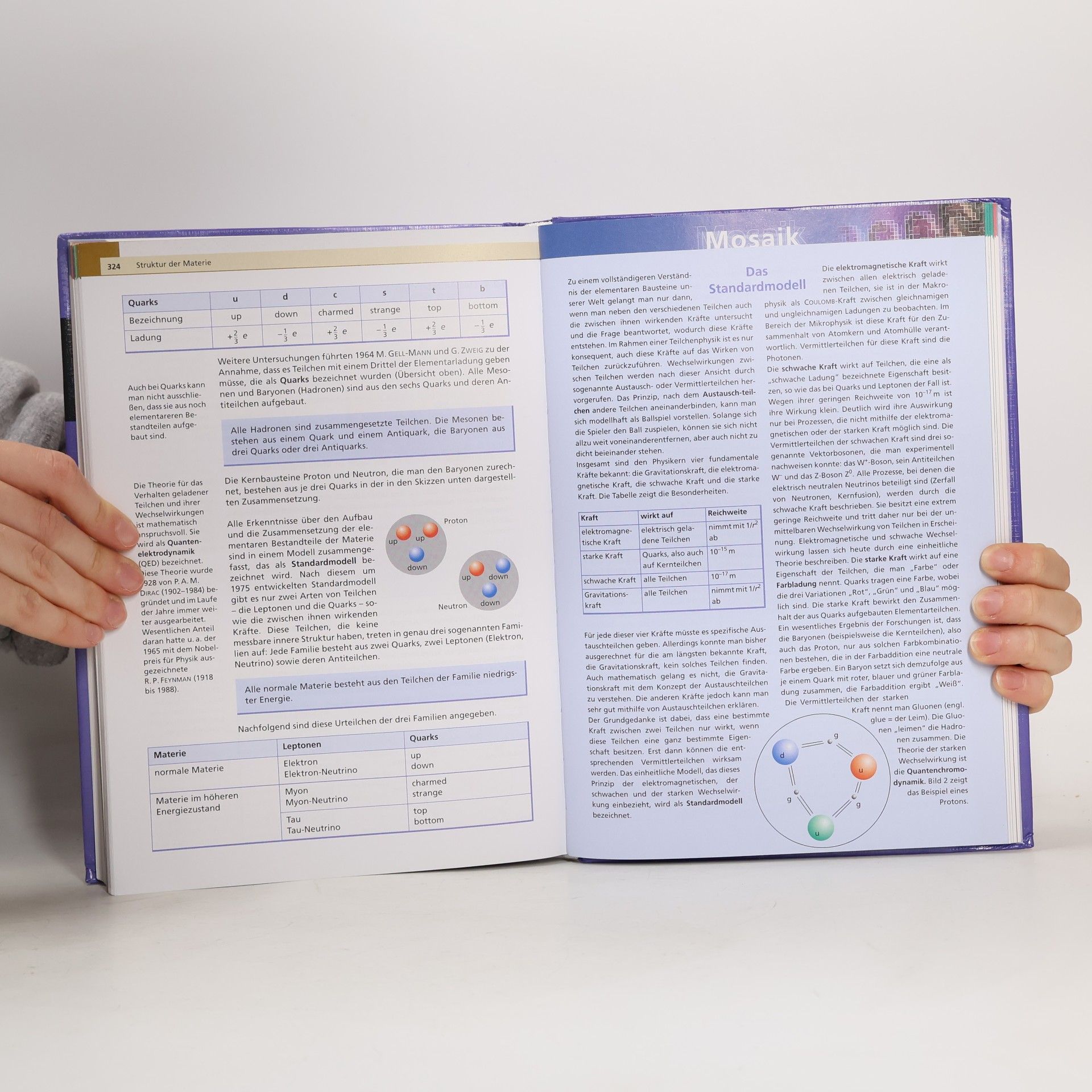 Kolektiv autorů Physik. Gymnasiale Oberstufe