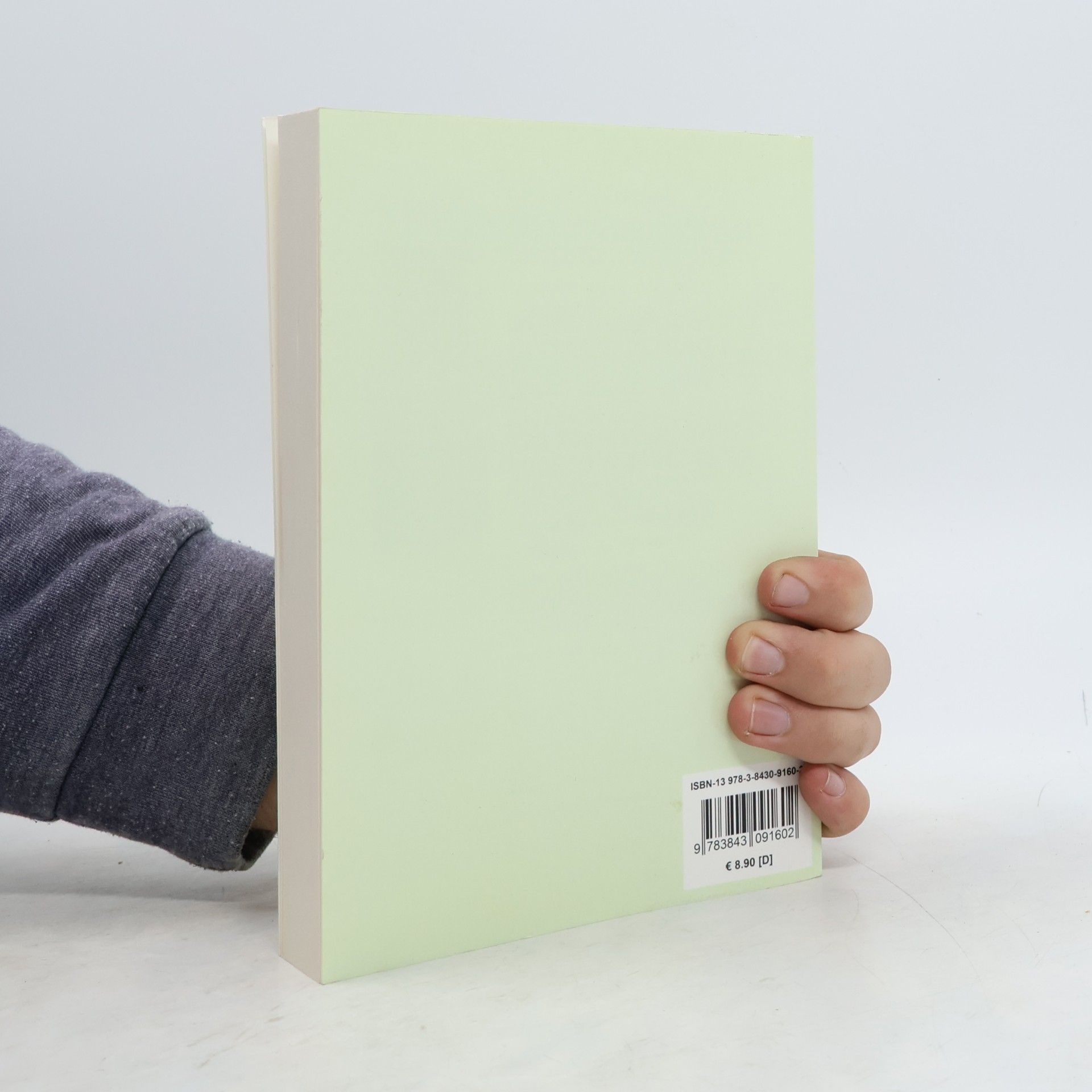 Theodor Fontane Wanderungen durch die Mark Brandenburg - 5: Fünf Schlösser - Sonderausgabe