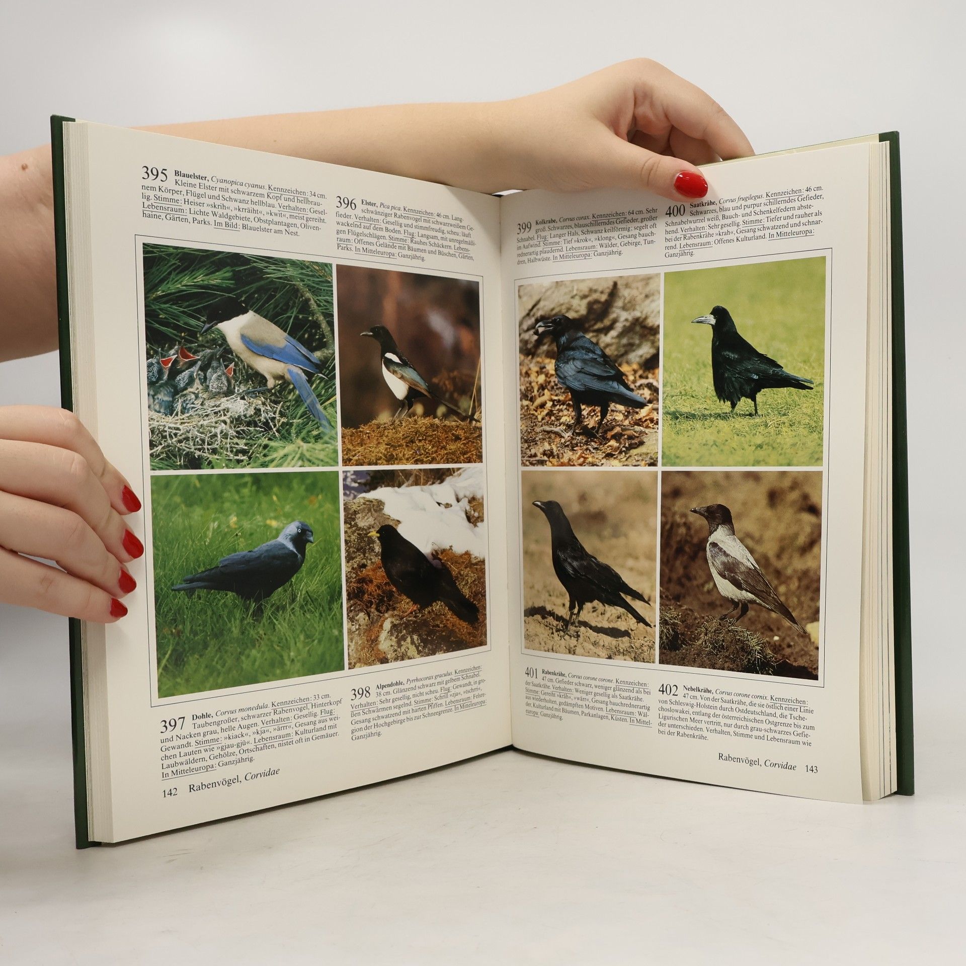 Jürgen Nicolai Fotoatlas der Vögel Europas