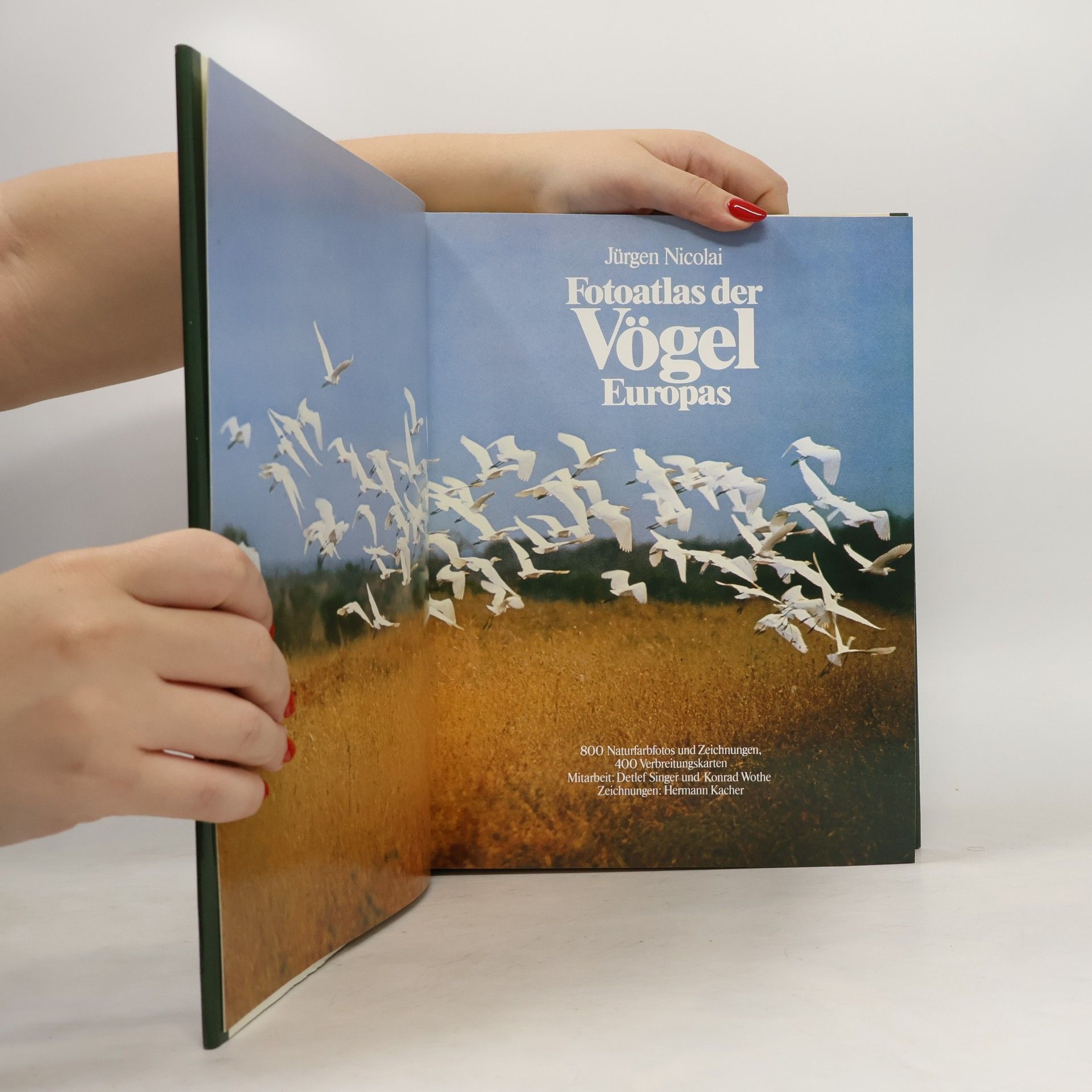 Jürgen Nicolai Fotoatlas der Vögel Europas