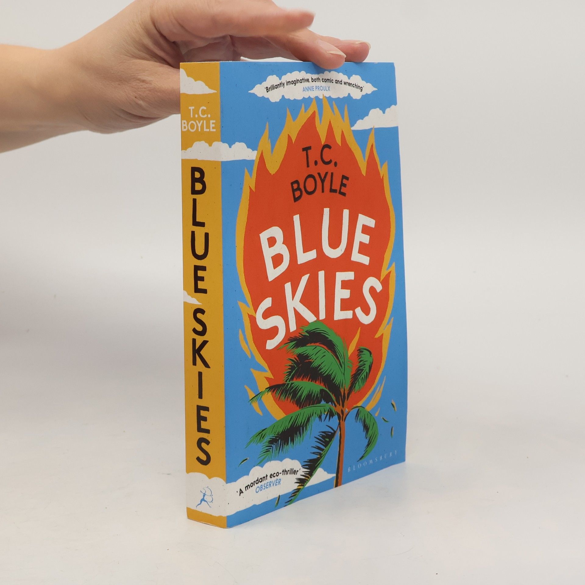 Tom Coraghessan Boyle Blue Skies