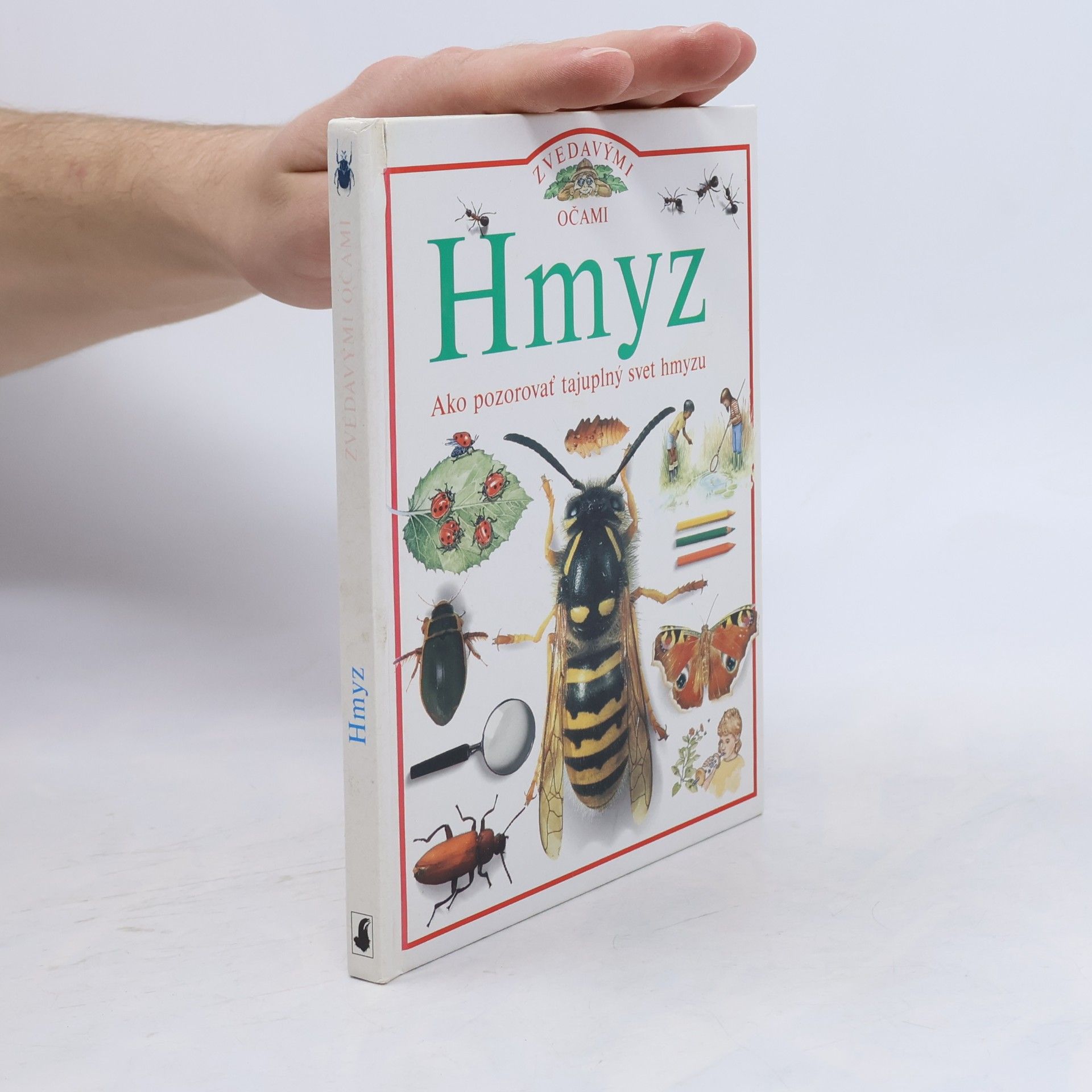 Hmyz