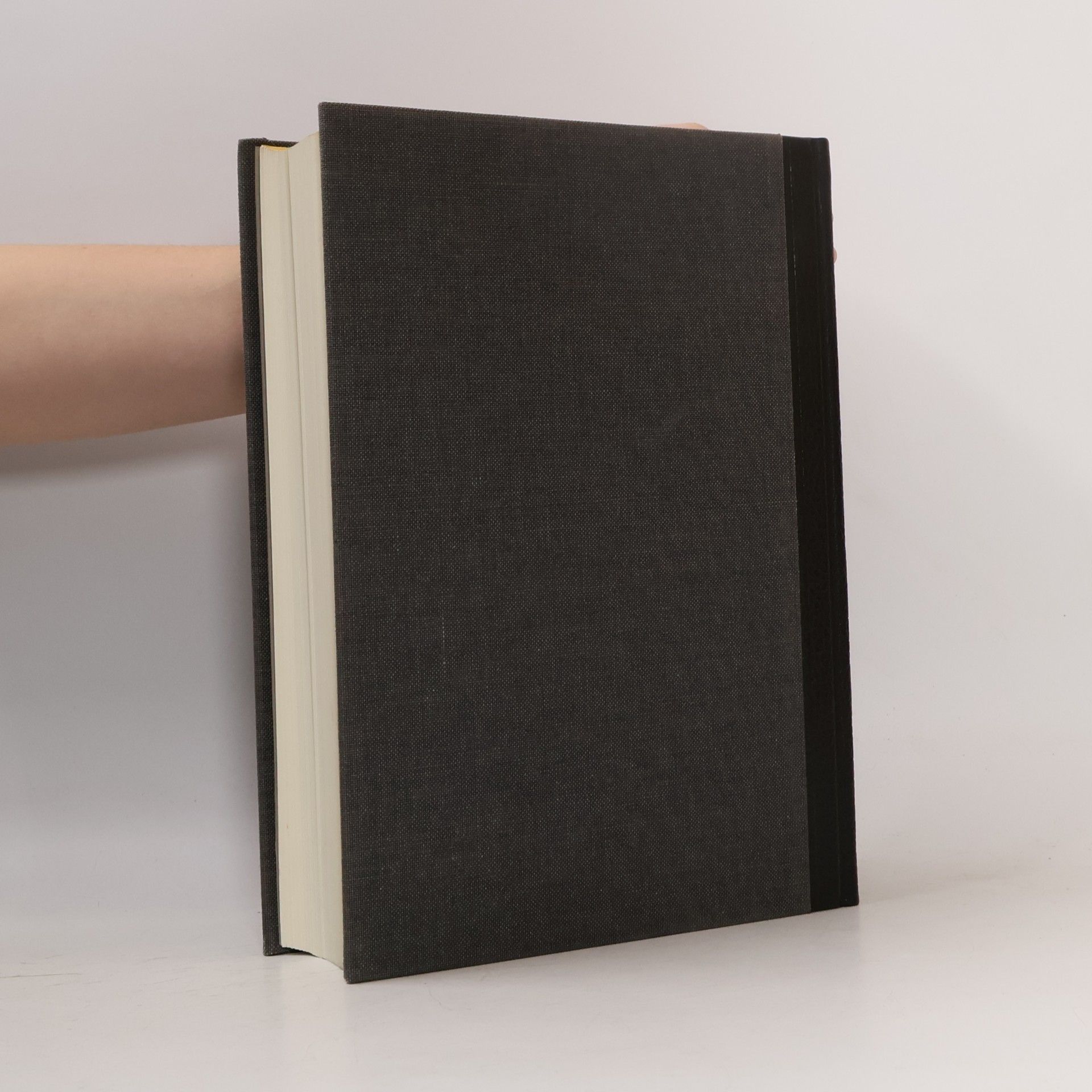 Jan Filip Propyläen Kunst Geschichte 13: Frühe Stufen der Kunst