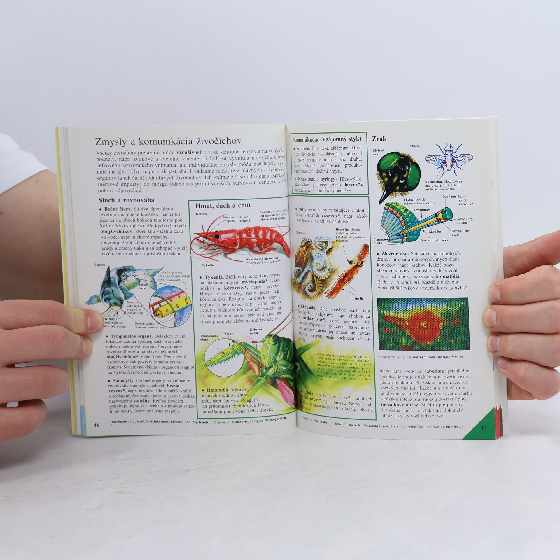 Autorenkollektiv Školská encyklopédia biológie