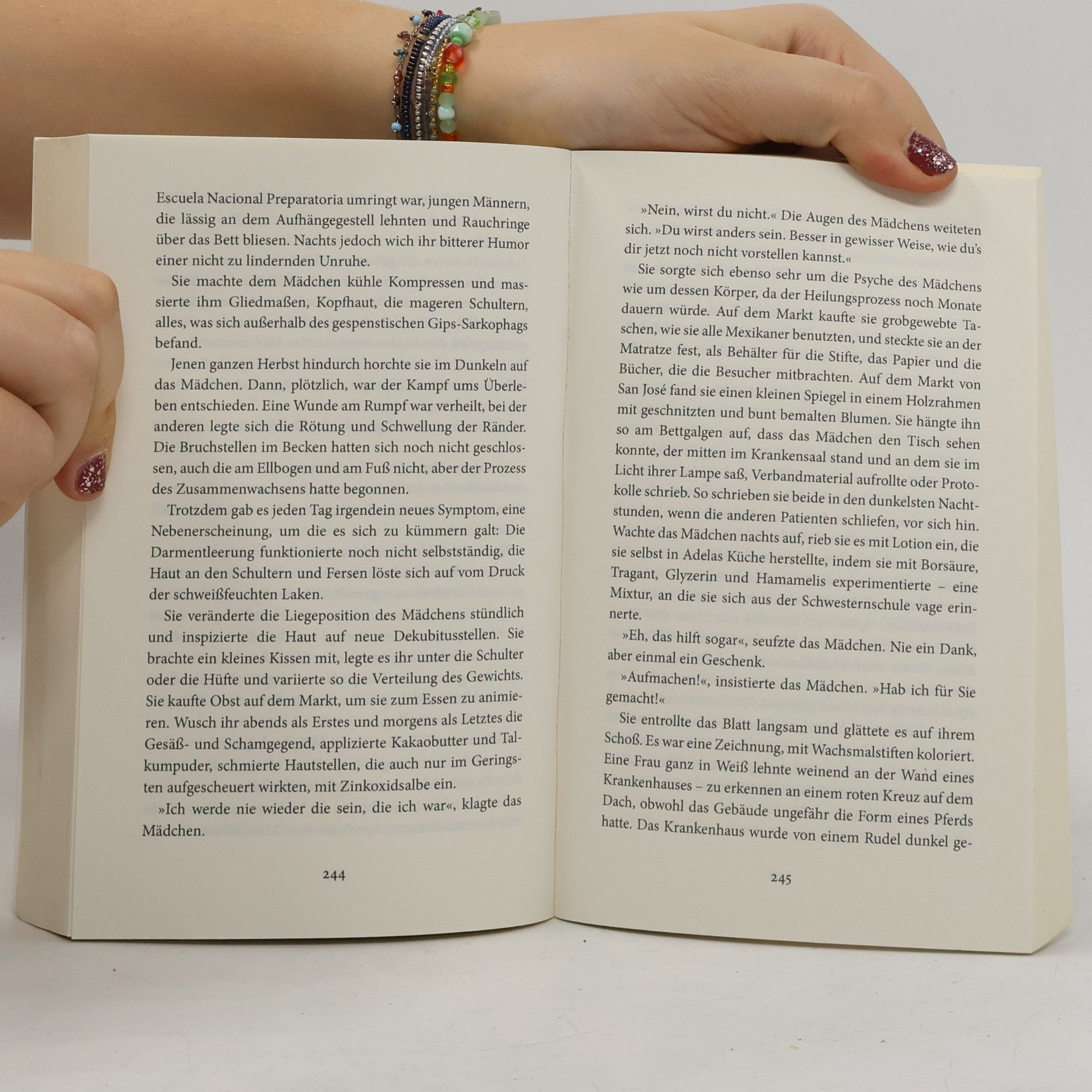 Merilyn Simonds Zuflucht. Roman