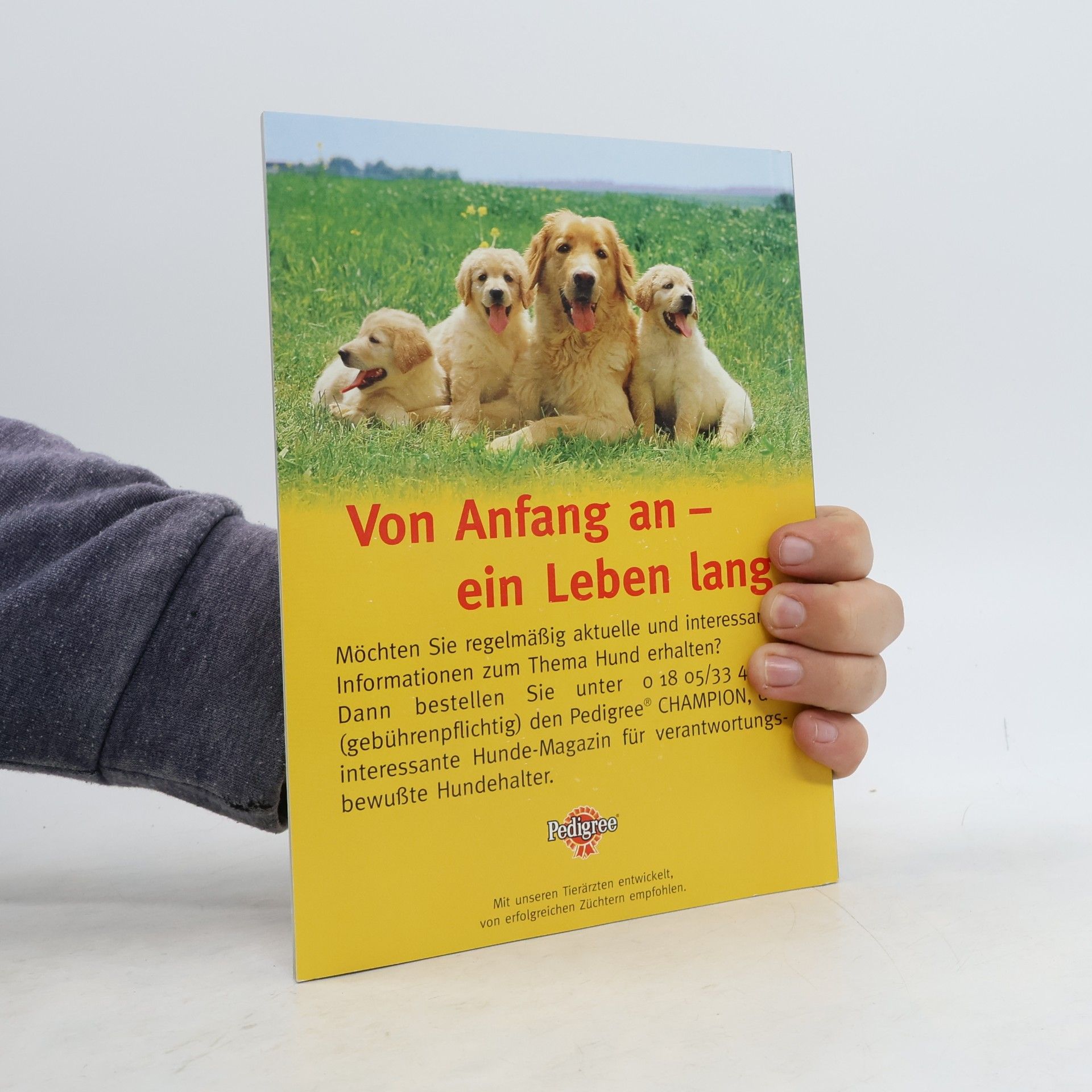 Autorenkollektiv Hunde/Freunde und Partner