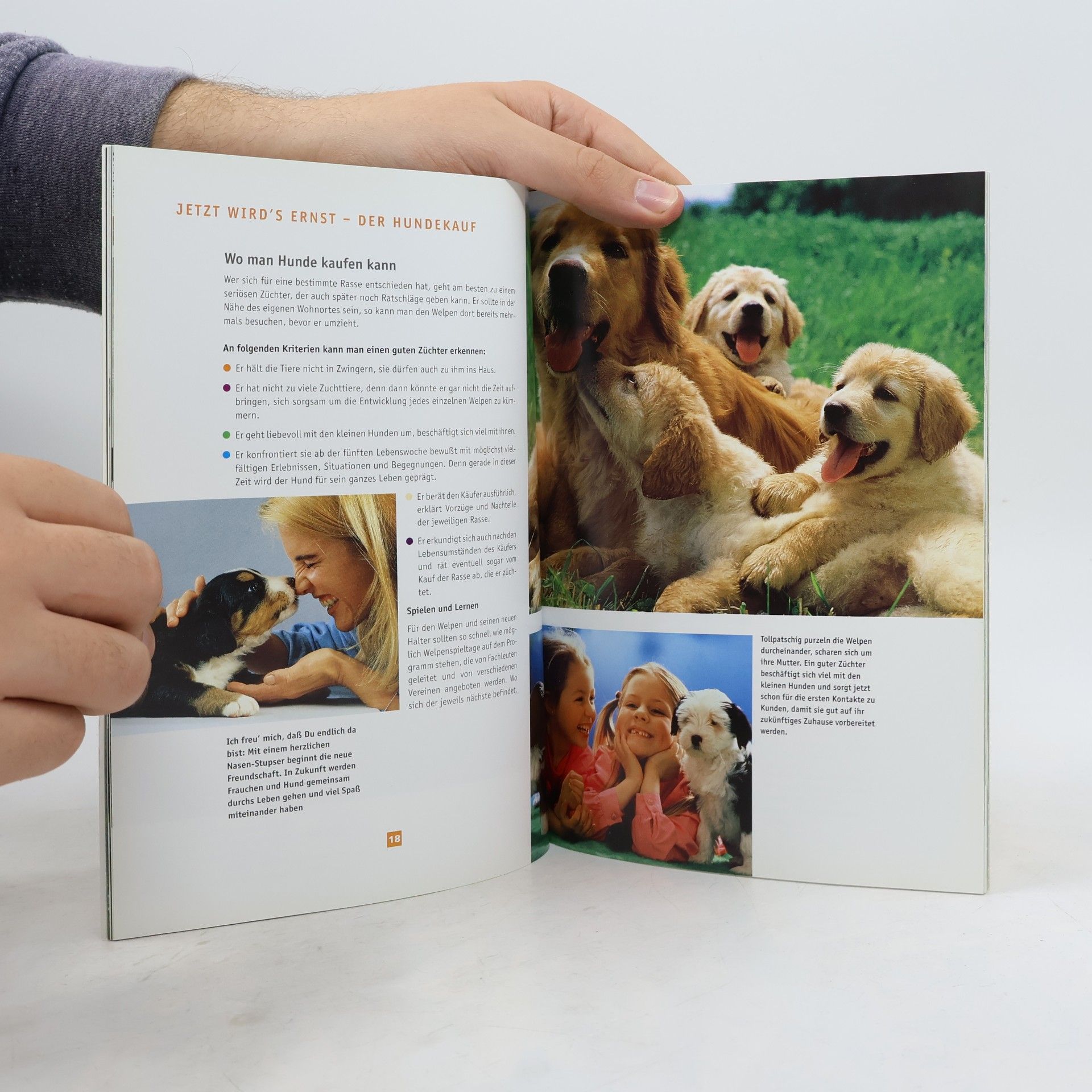 Autorenkollektiv Hunde/Freunde und Partner