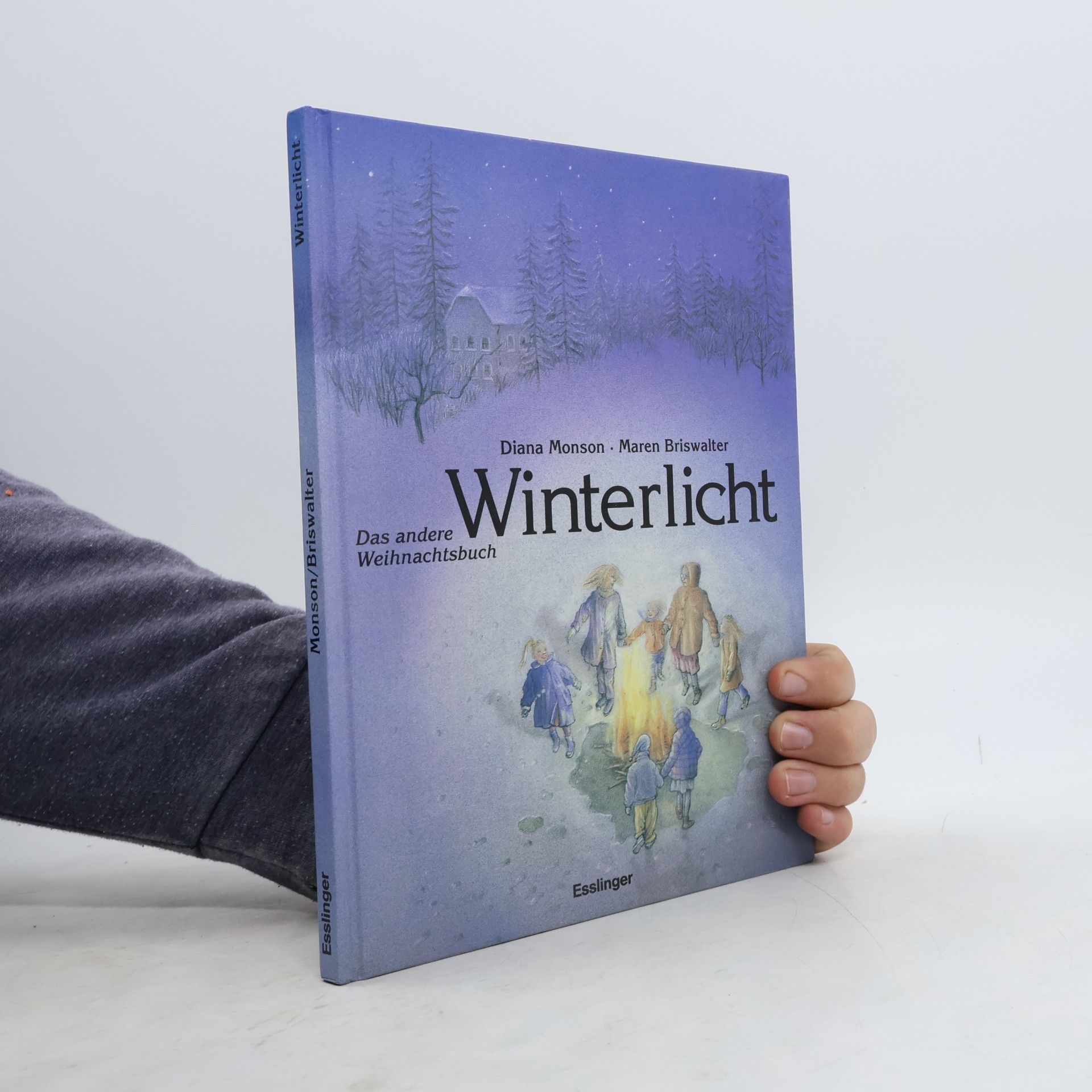 Diana Monson Winterlicht