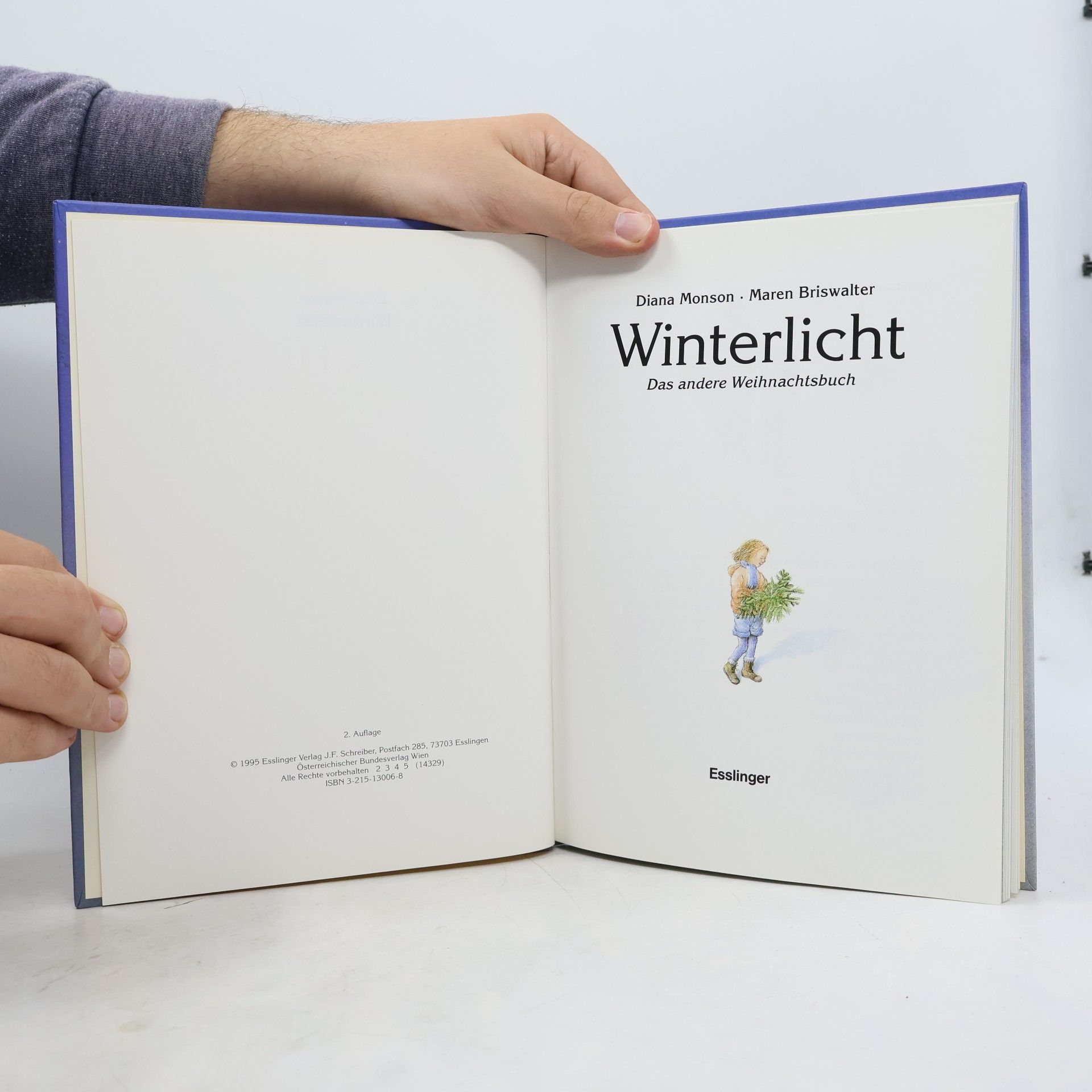 Diana Monson Winterlicht