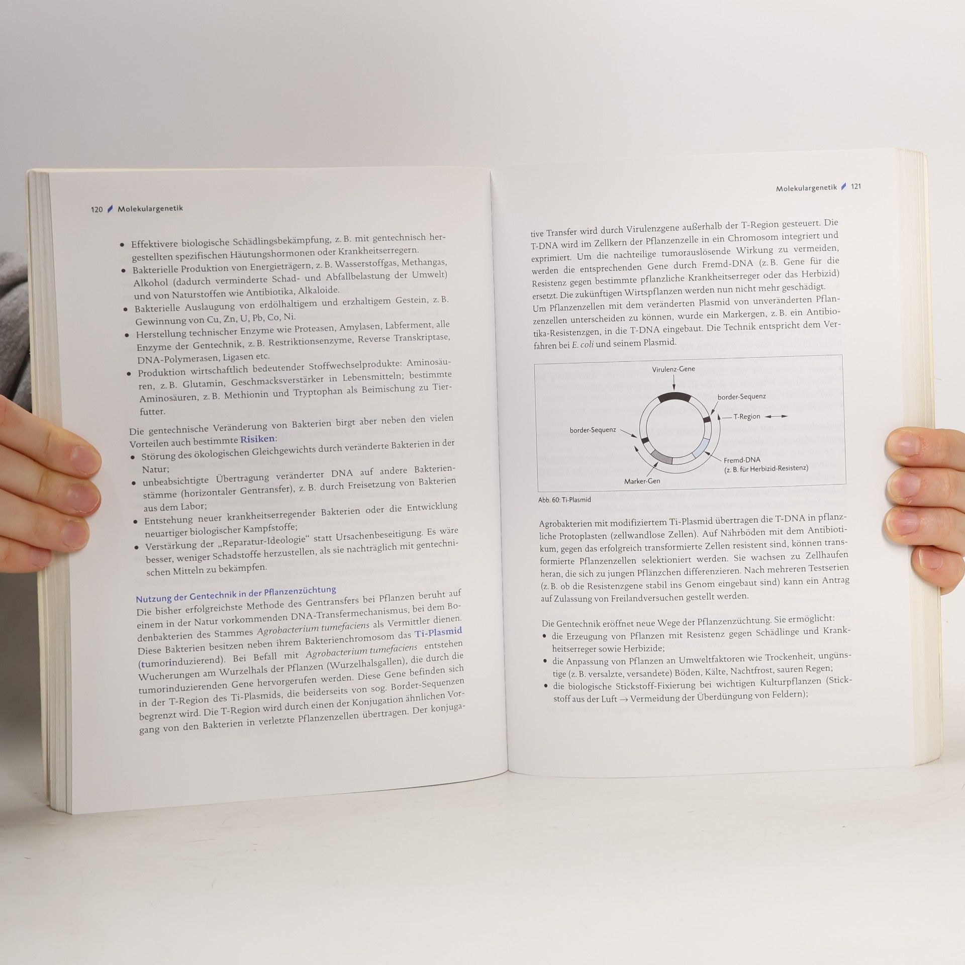 Brigitte Meinhard Abitur-Training Biologie 1. Genetik, Stoffwechsel, Ökologie