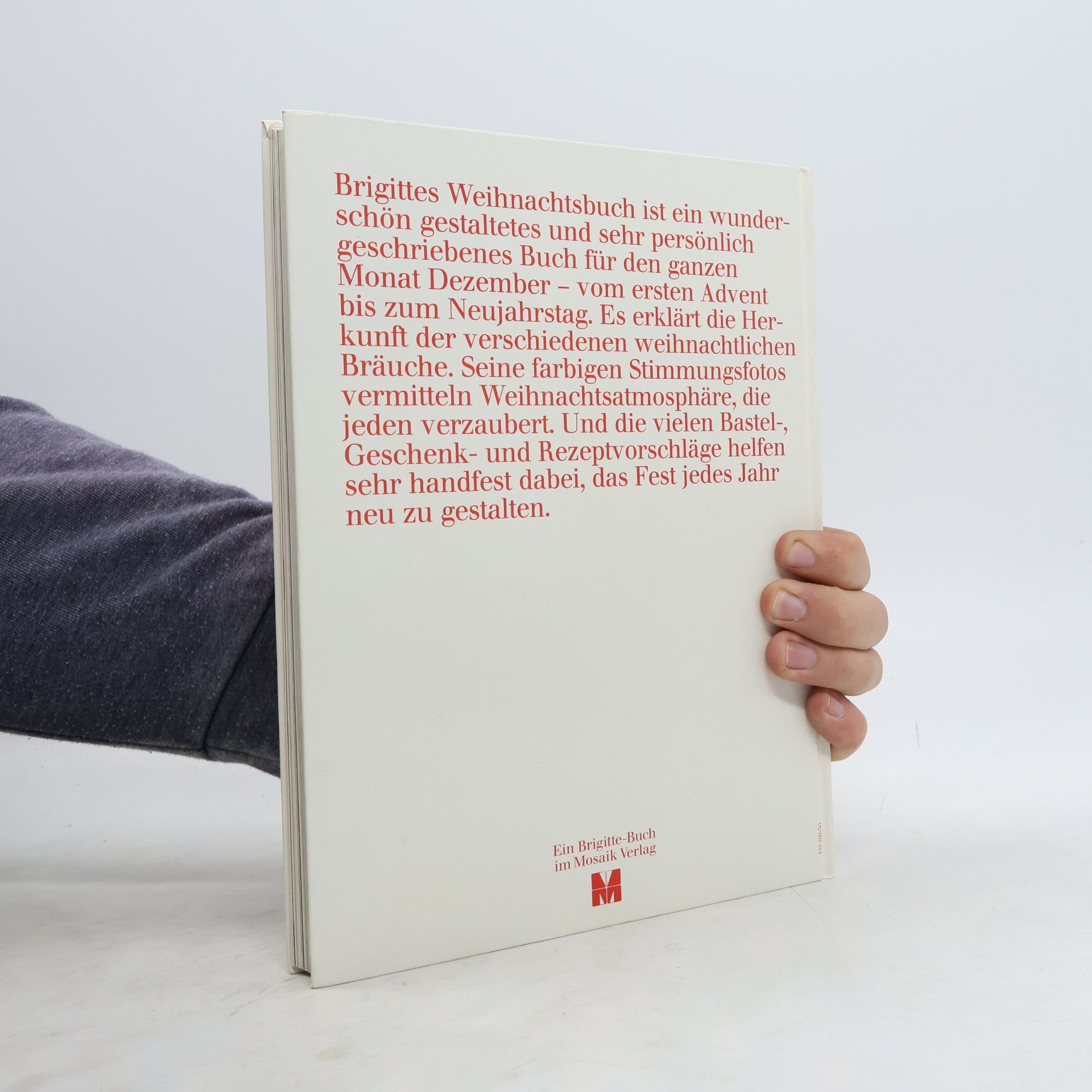 Ilse Döring Brigitte, das große bunte Weihnachtsbuch