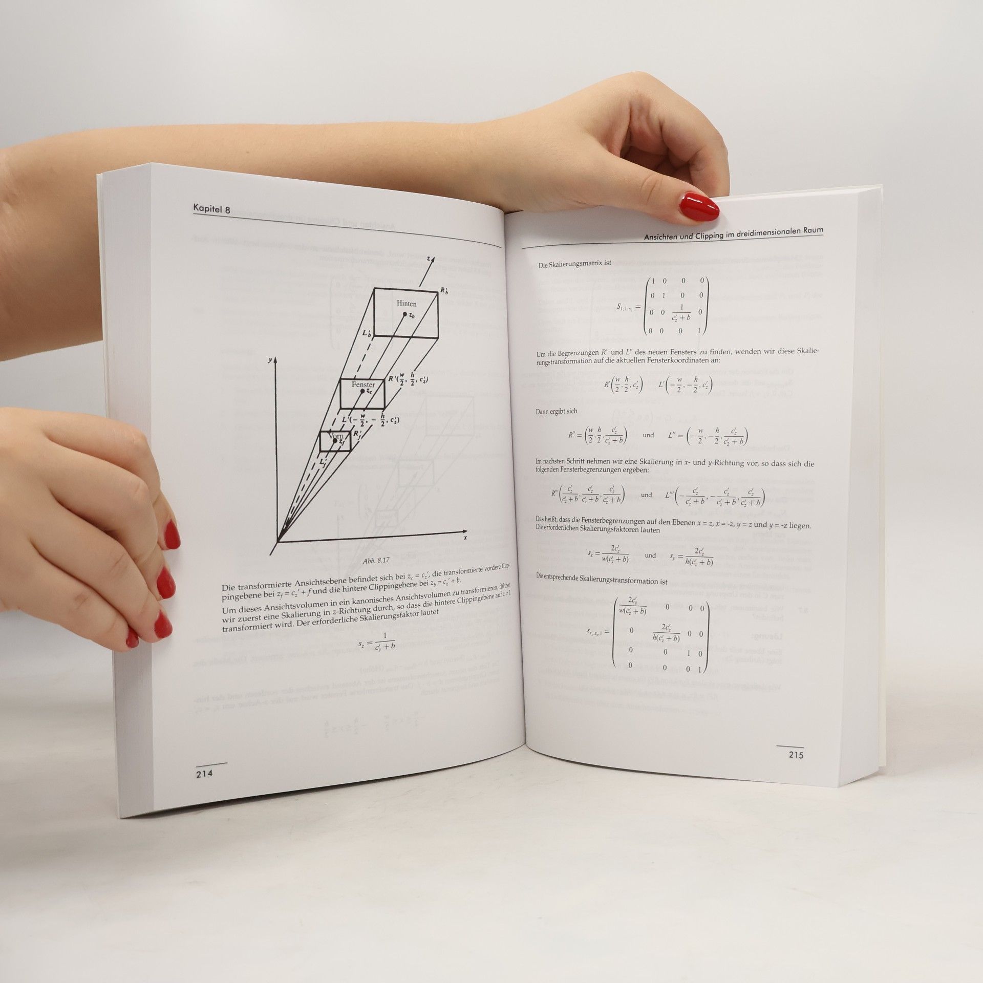 Zhigang Xiang Computergrafik