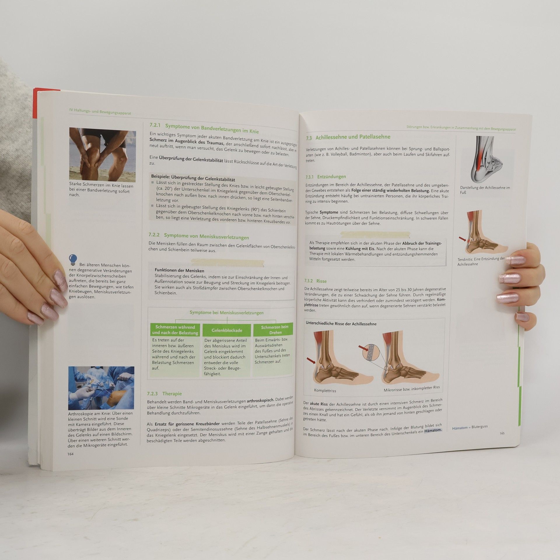Helmut Franz Geroldinger Gesundheit und Soziales für die Berufsreifeprüfung (Teil 1) Somatologie und Gesundheit + E-Book