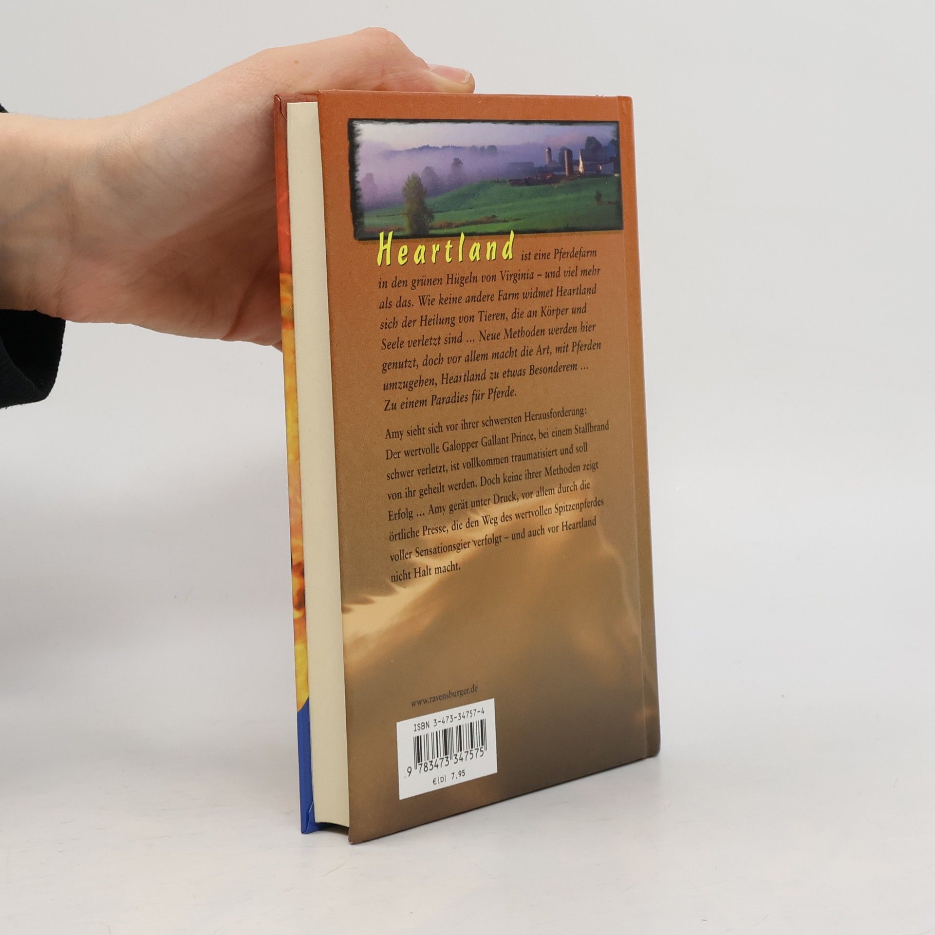 Lauren Brooke Heartland. Paradies für Pferde. Bd.7