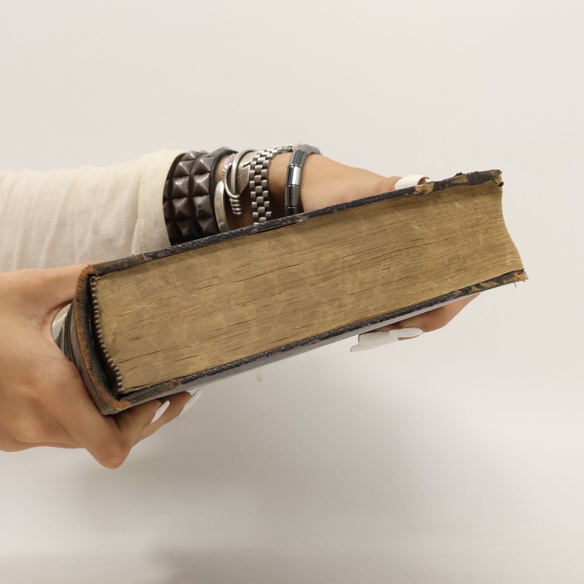 kolektiv Die heiligen Schriften des alten und neuen Testamentes