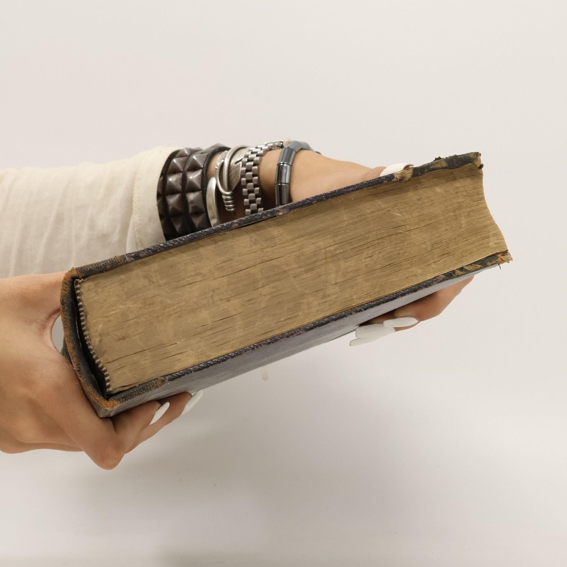 kolektiv Die heiligen Schriften des alten und neuen Testamentes