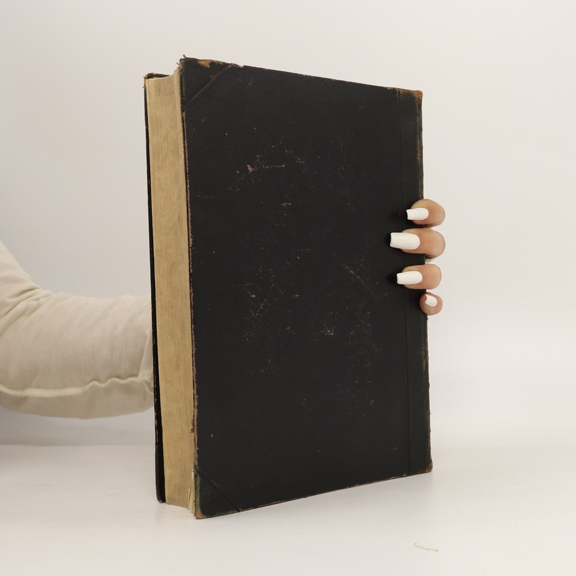 kolektiv Die heiligen Schriften des alten und neuen Testamentes