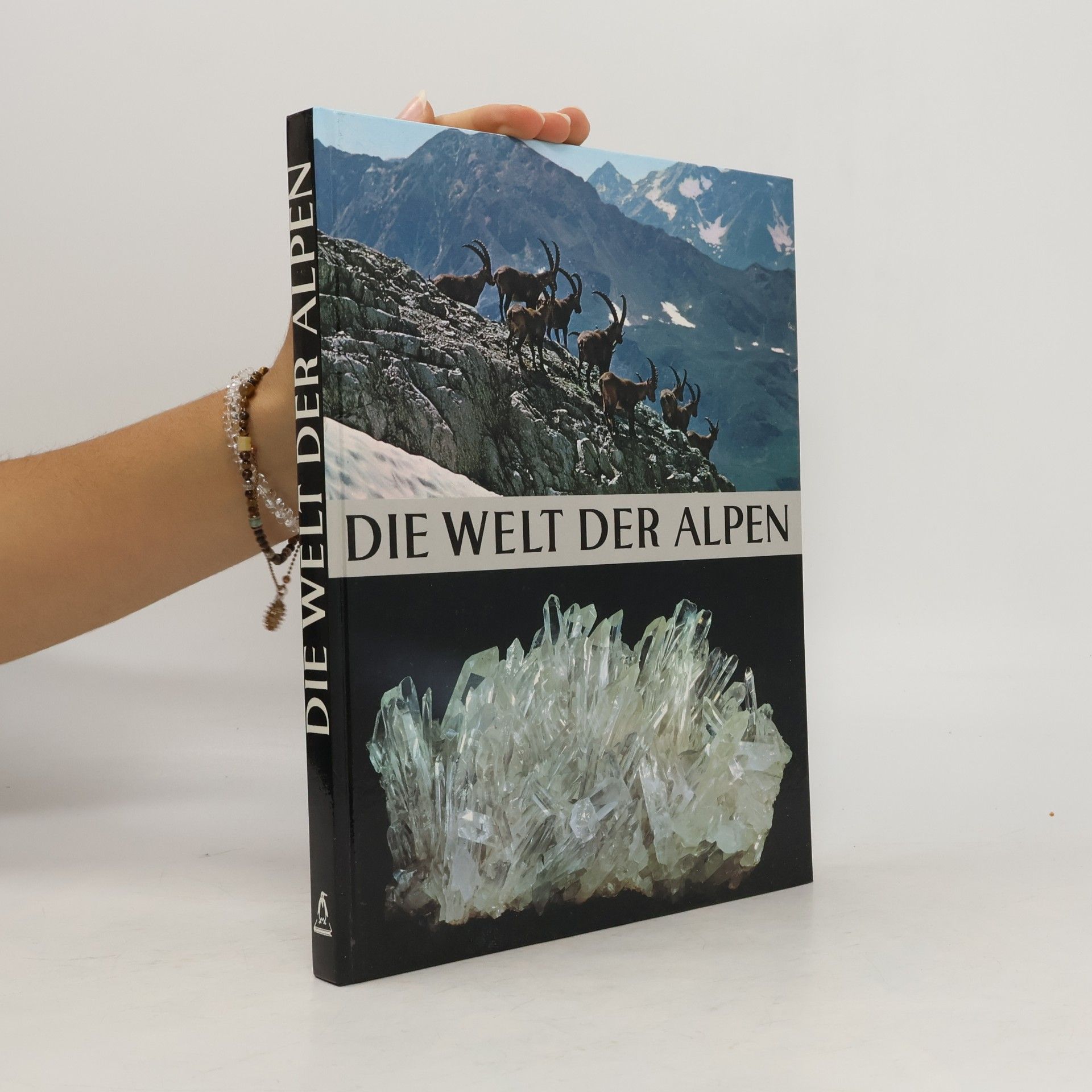 Ambros Aichhorn Die Welt der Alpen
