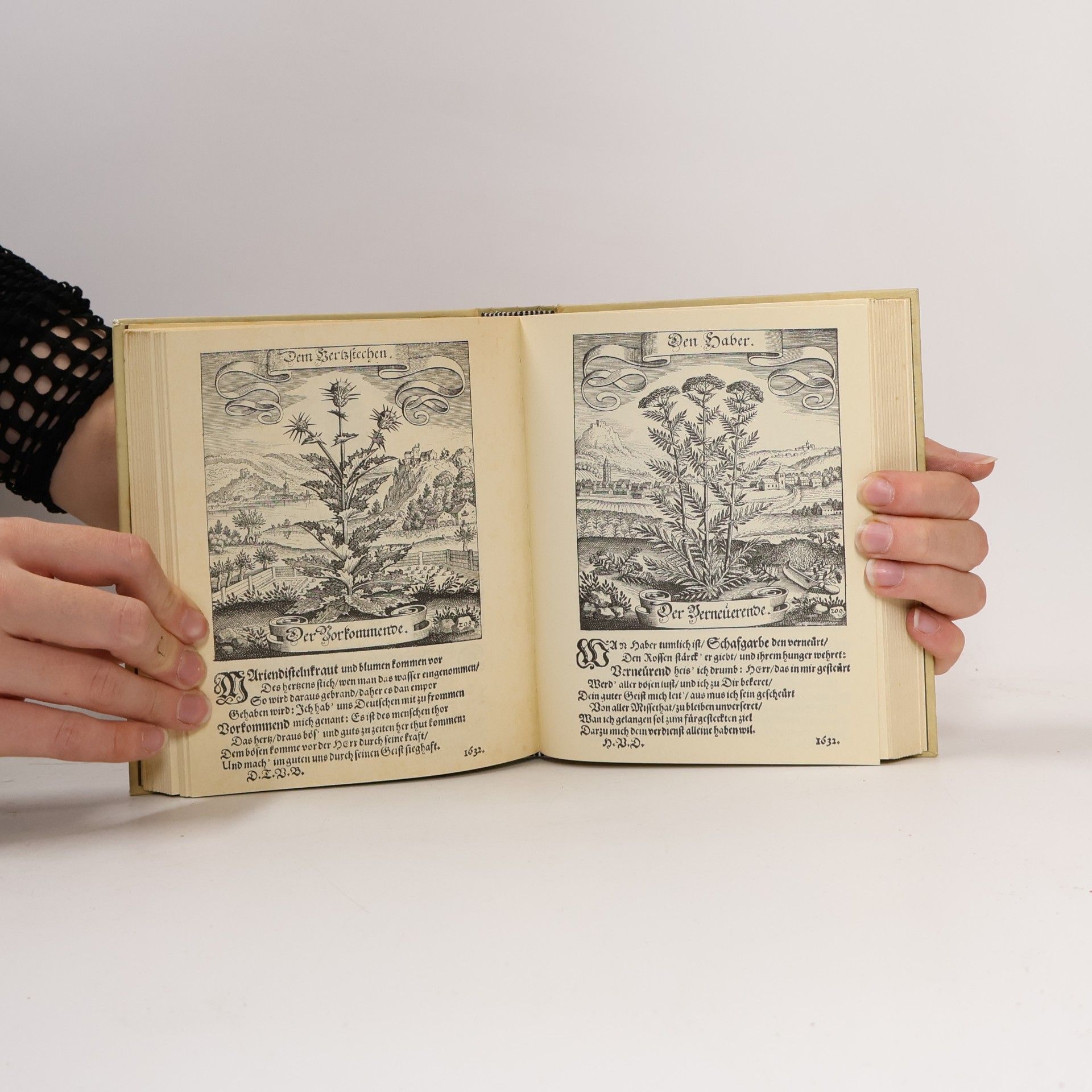 Matthäus Merian Der Fruchtbringenden Geselschaft Nahmen, Vorhaben, Gemählde und Wörter