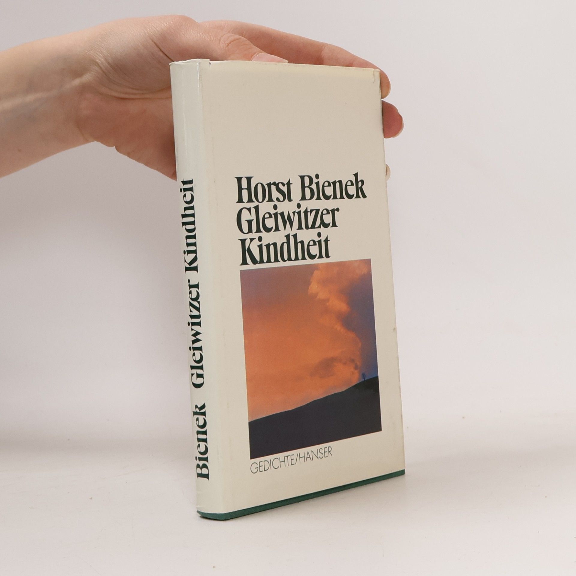 Horst Bienek Gleiwitzer Kindheit. Gedichte aus zwanzig Jahren