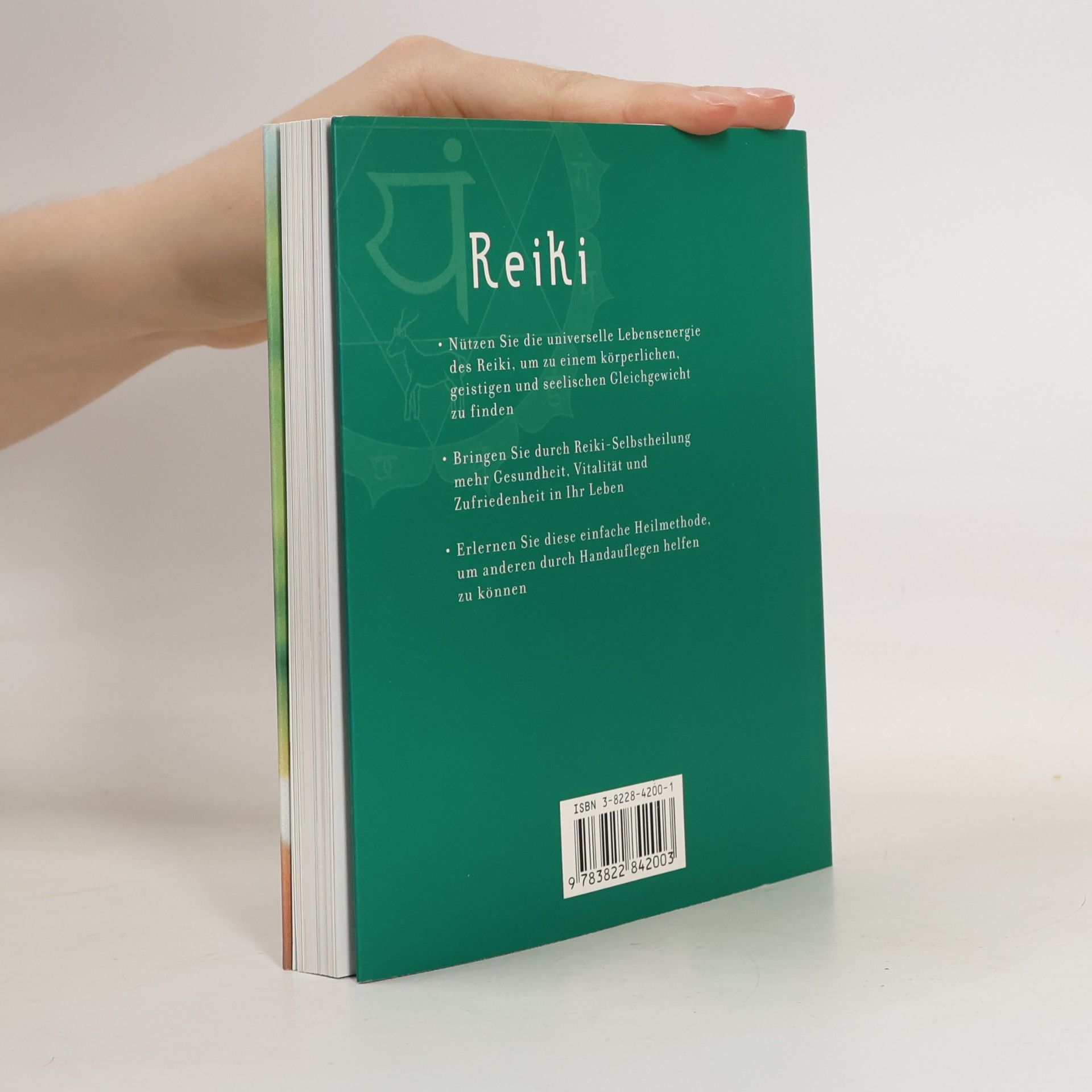 Sandi Leir Shuffrey Reiki