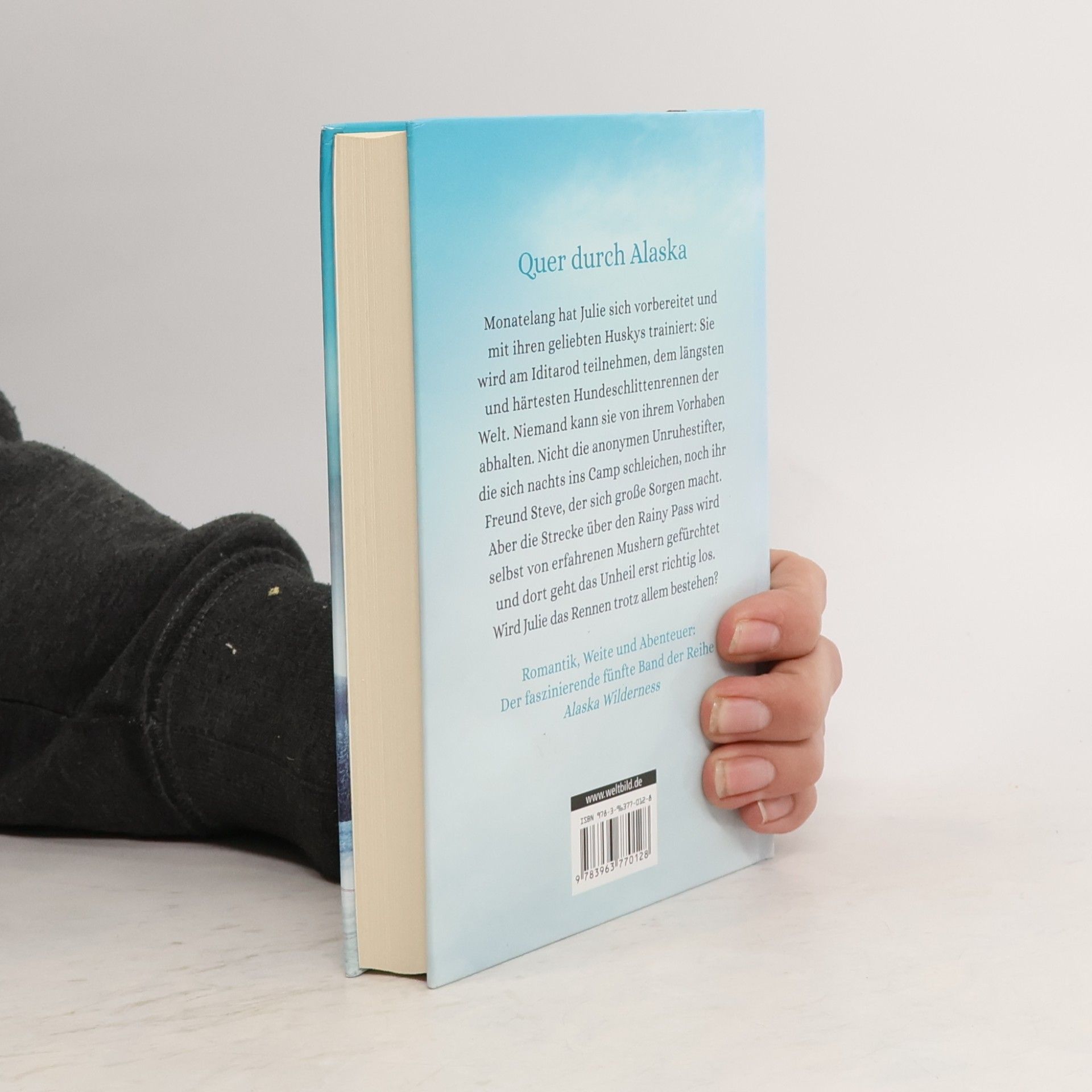 Christopher Ross Die Geister vom Rainy Pass