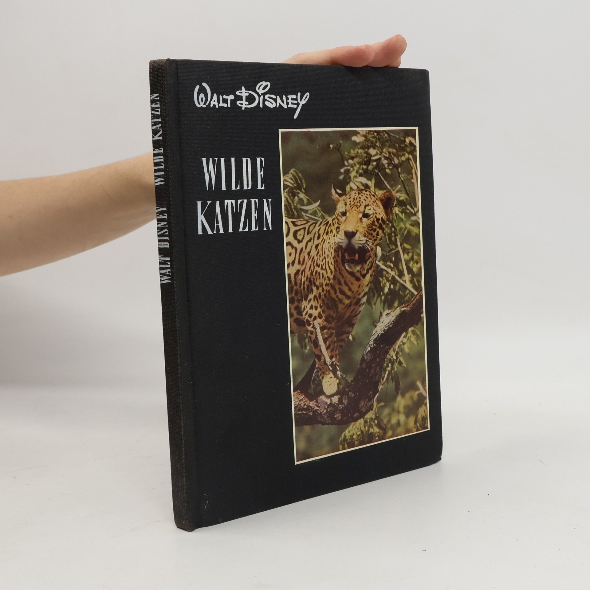 Collectif d'auteurs Wilde katzen