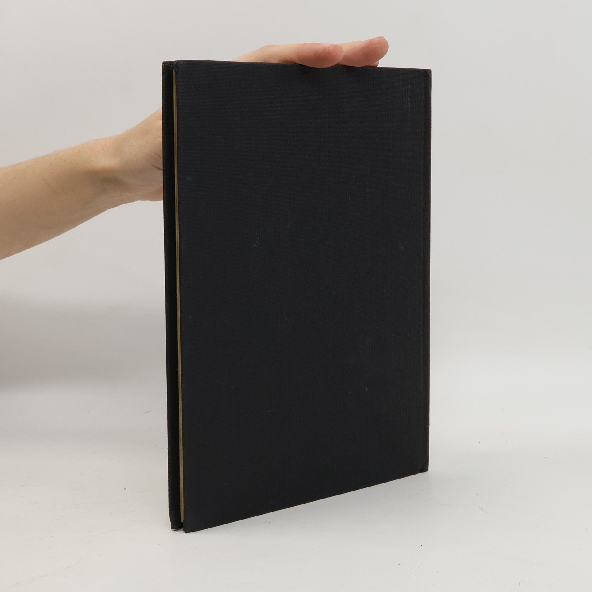 Collectif d'auteurs Wilde katzen