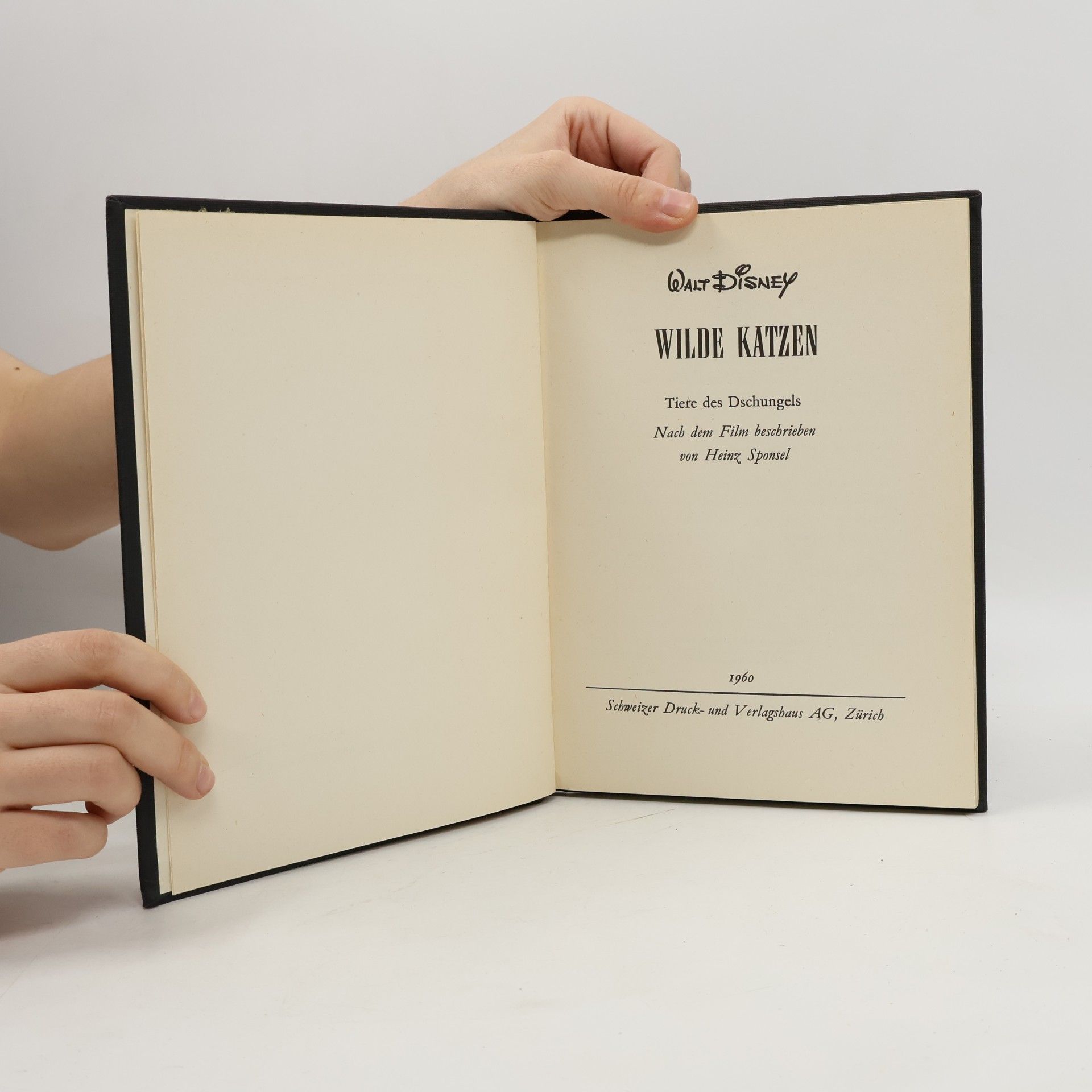 Collectif d'auteurs Wilde katzen