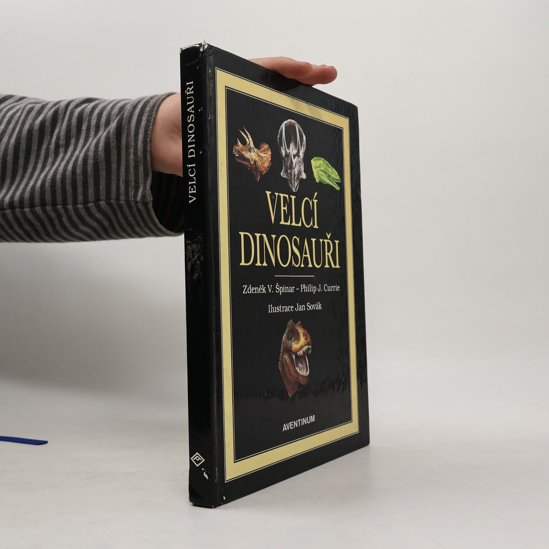 Velcí dinosauři