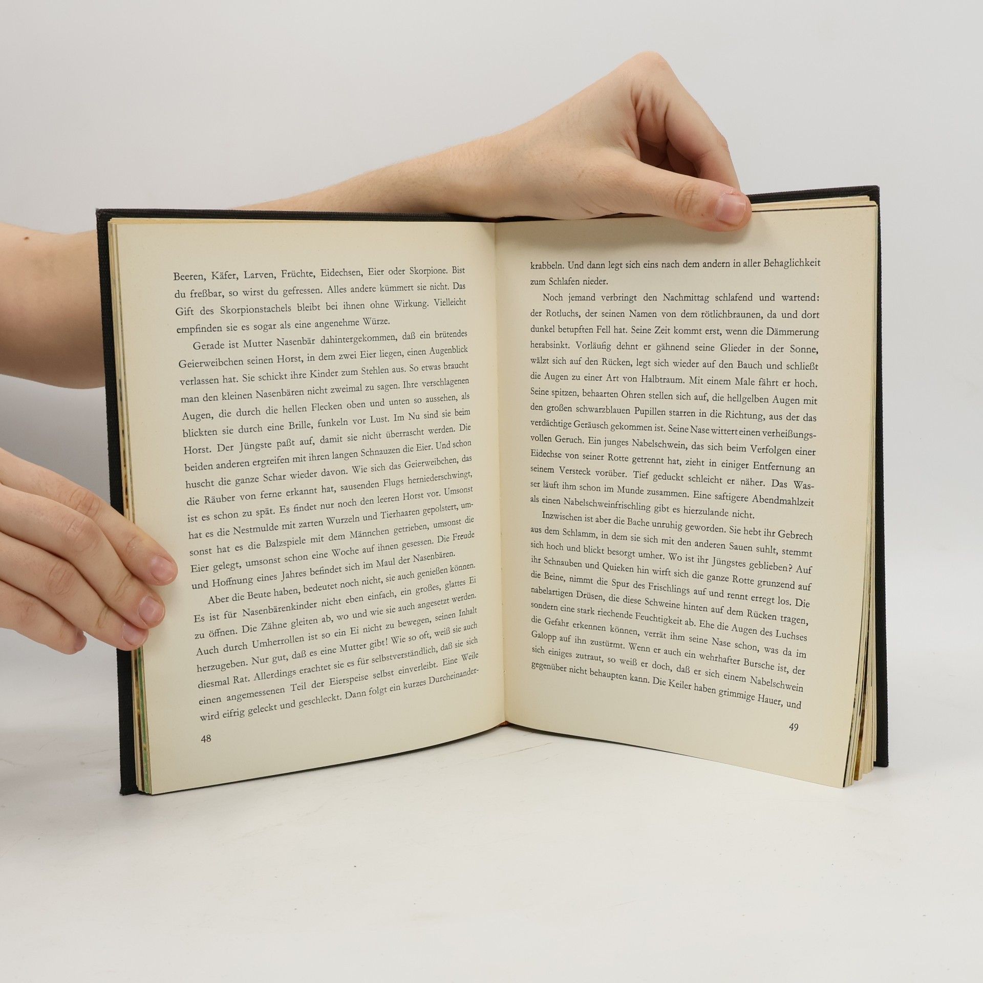 Autorenkollektiv Die Wüste lebt